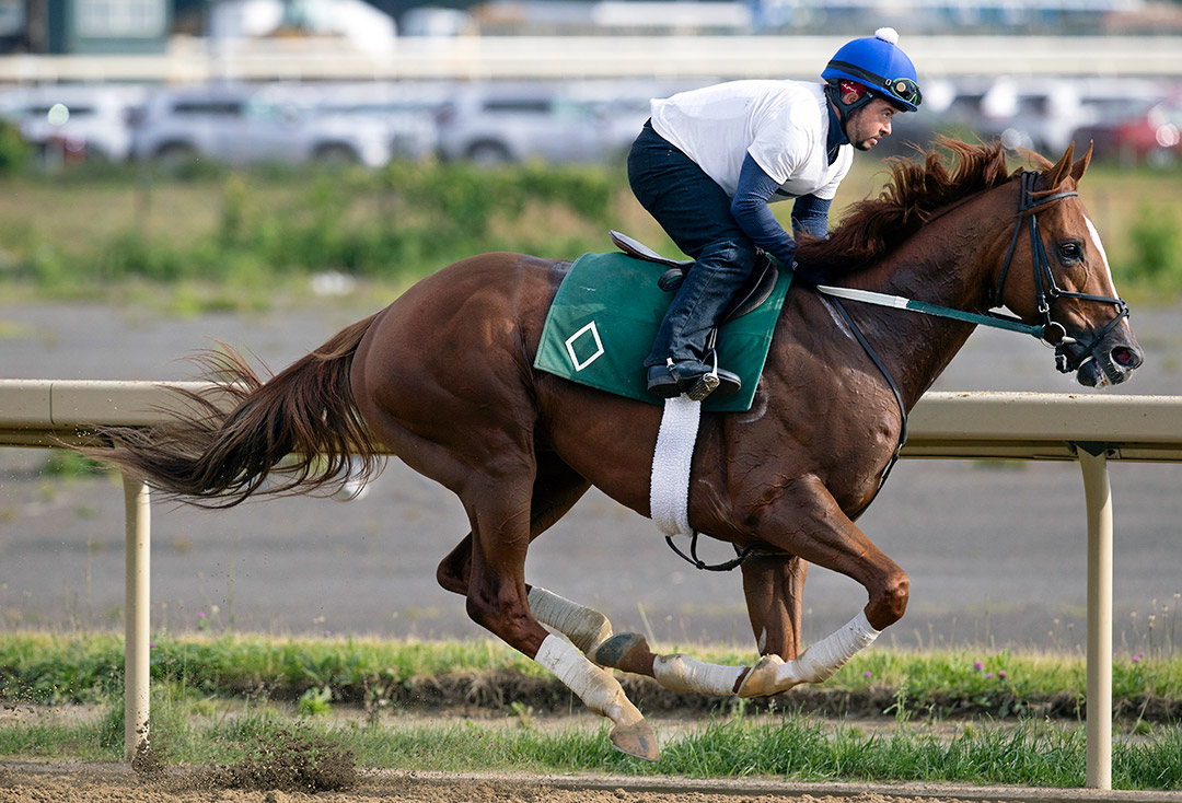 Forza di Oro trains at Belmont Park on June 1
