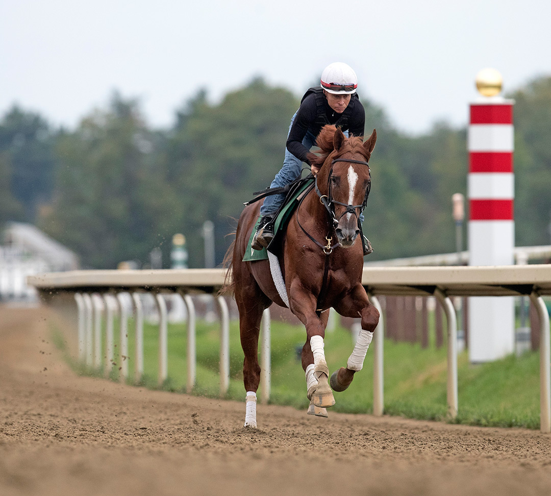 Forza di Oro trains at Saratoga Race Course on Sept. 1