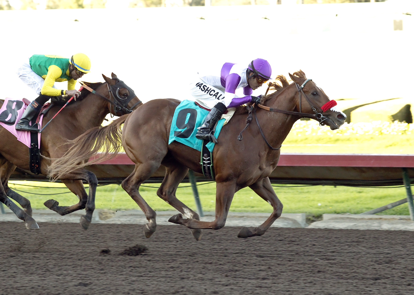 Found Money wins the King Glorious Stakes