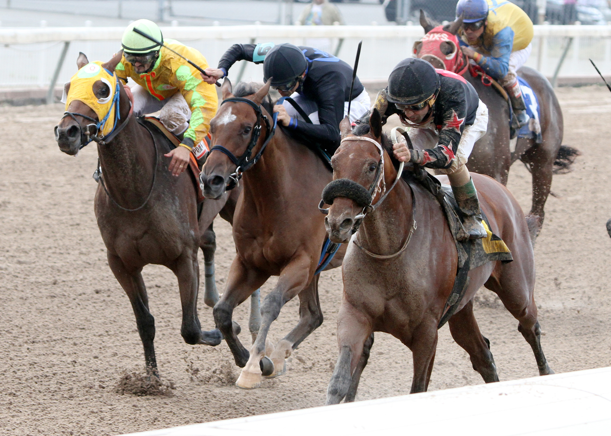 Four Leaf Chief wins the Louisiana Cup Juvenile