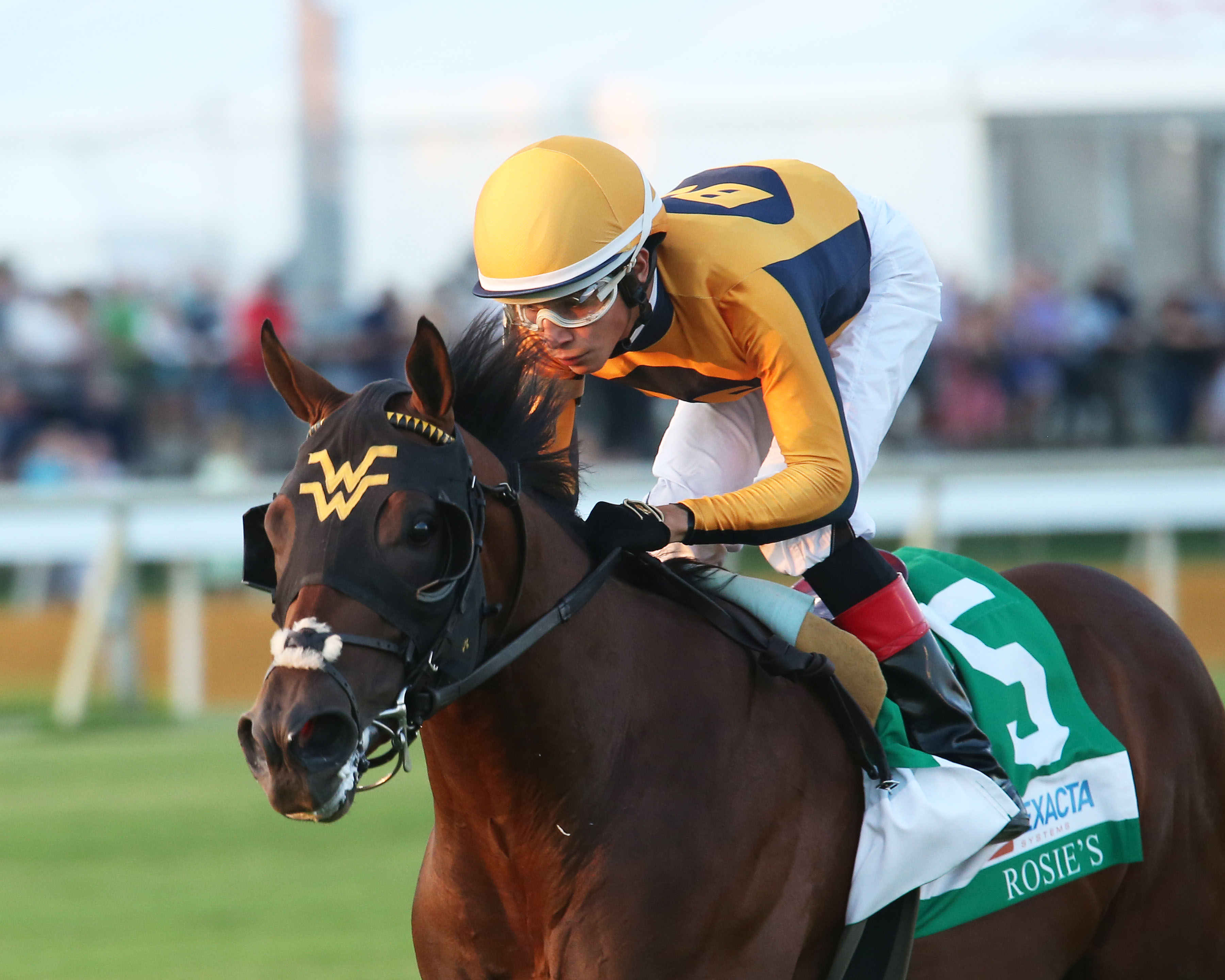 Four Wheel Drive wins the Exacta Systems Rosie's Stakes at Colonial Downs 8-31-2019.Coady