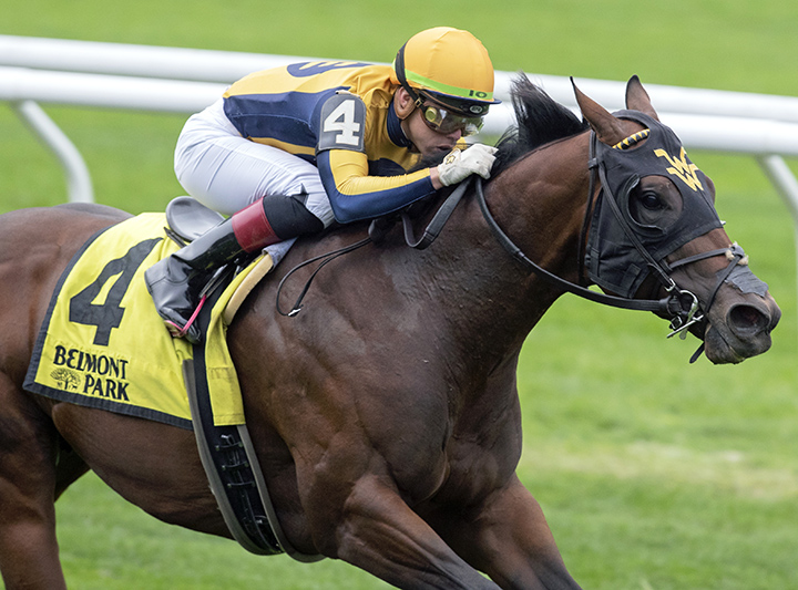 Four Wheel Drive wins the 2019 Futurity Stakes at Belmont Park