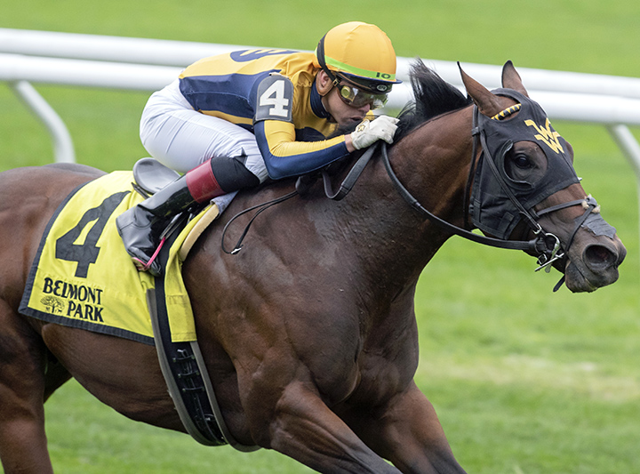 Four Wheel Drive wins the 2019 Futurity Stakes at Belmont Park