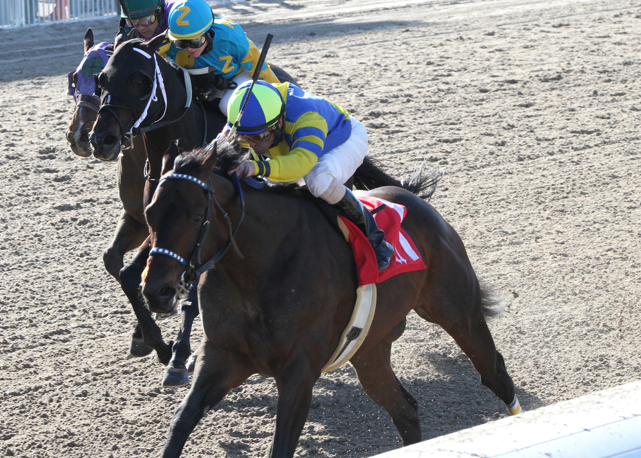 Fordubai, Louisiana Handicap