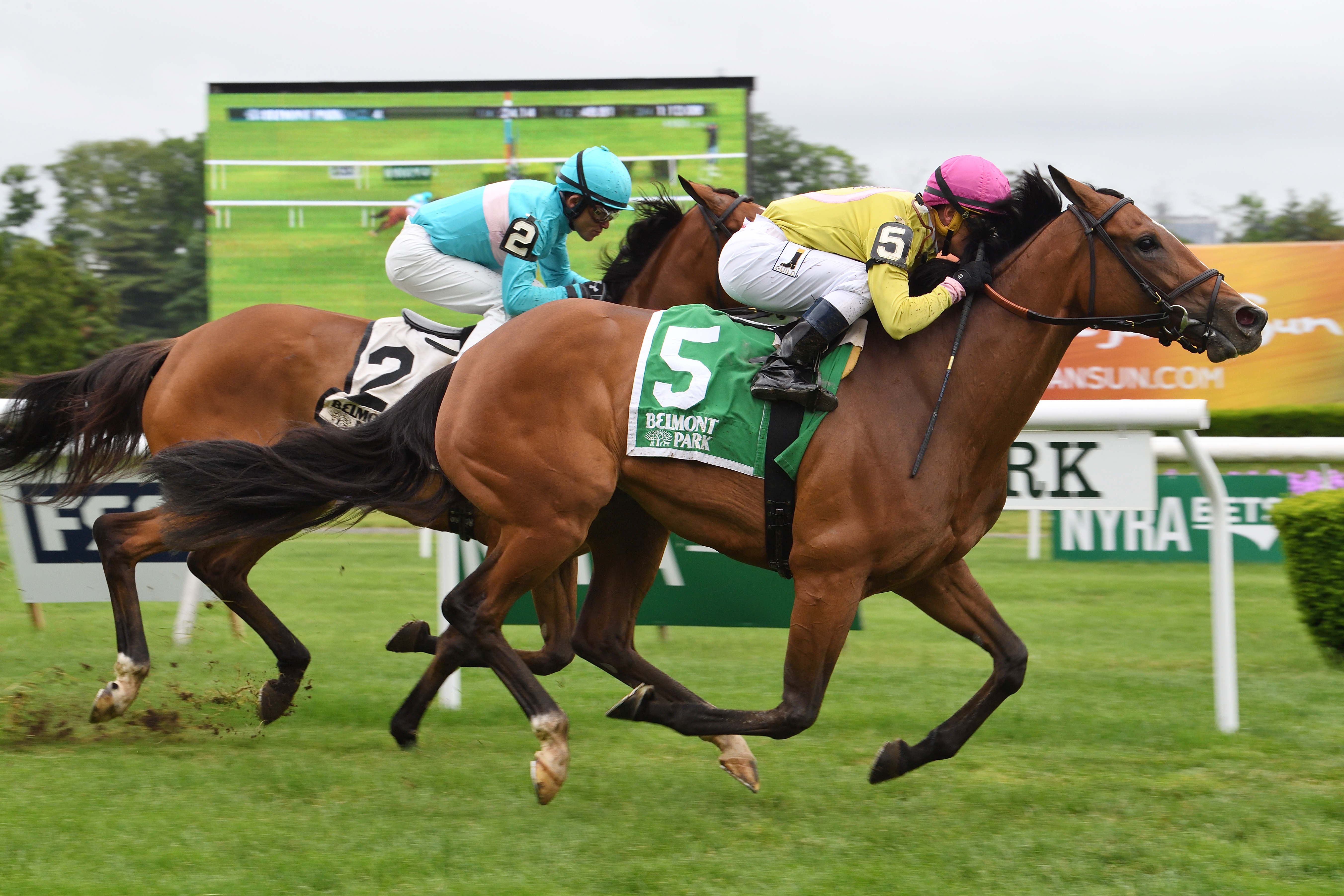 Fourstar Crook wins the Mount Vernon Stakes