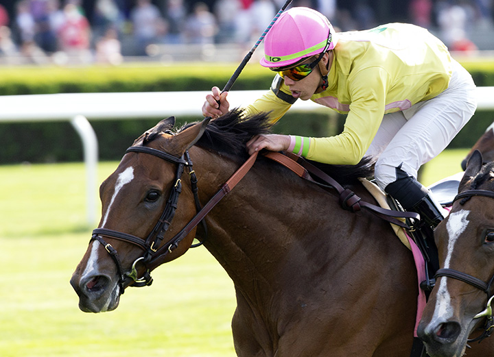 Fourstar Crook wins the 2018 New York Stakes