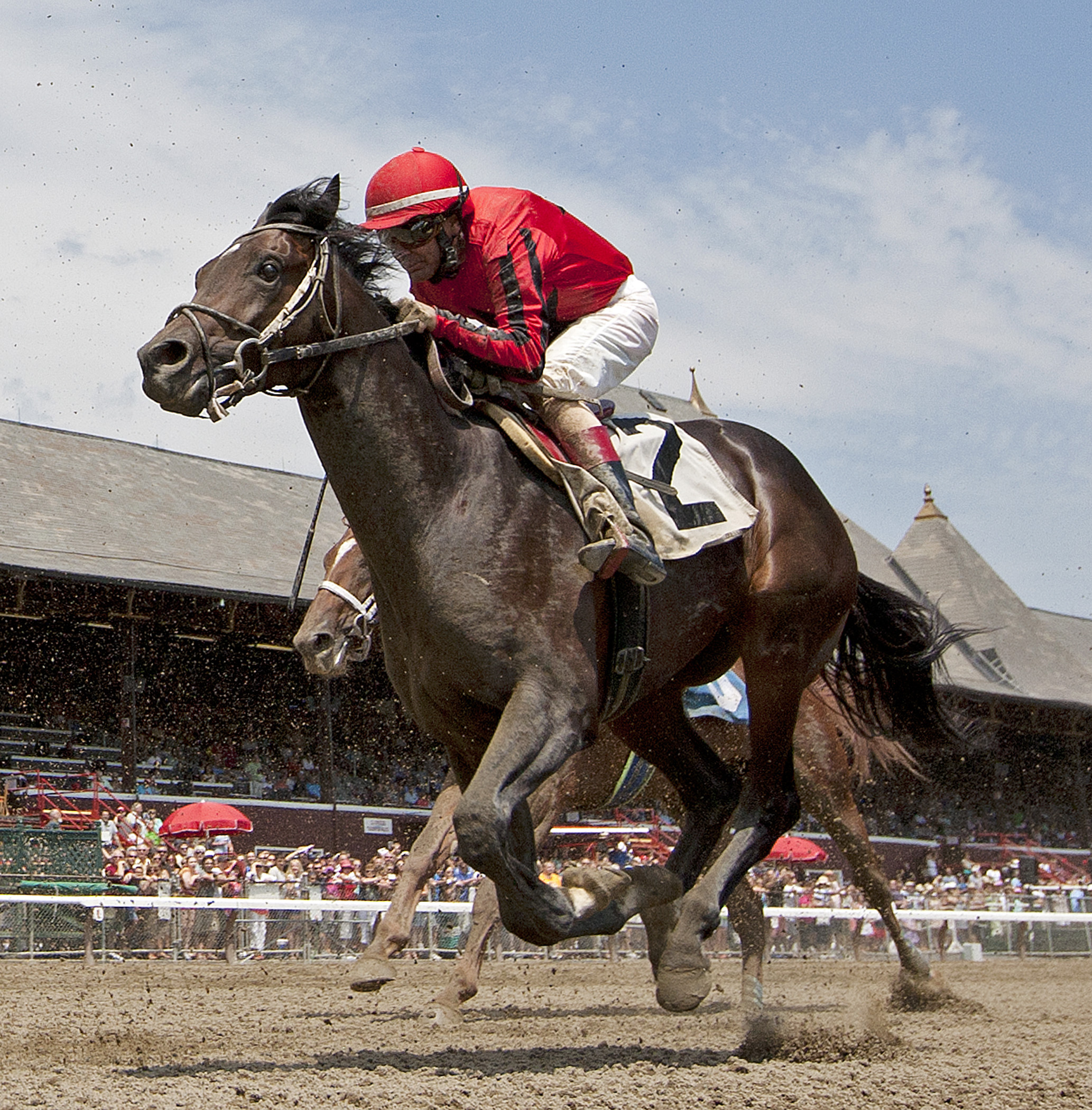 Fox Rox second in a maiden