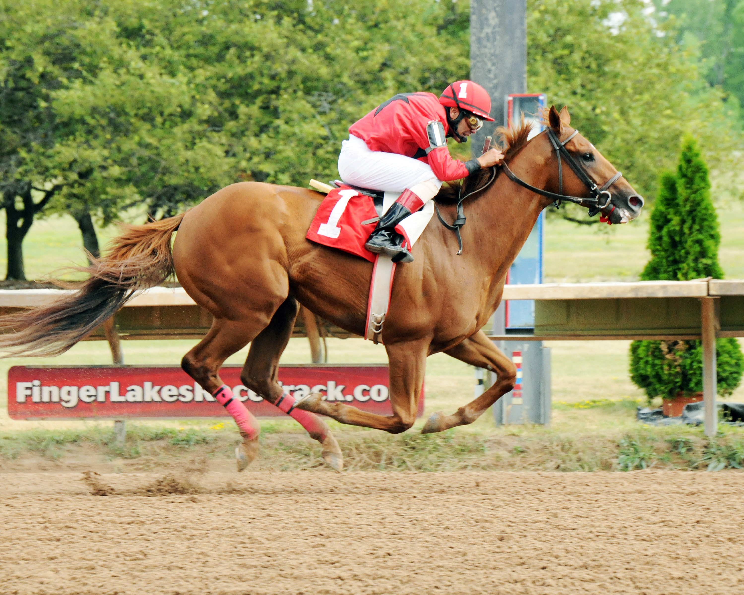 Fox Rules wins the 2012 New York Derby