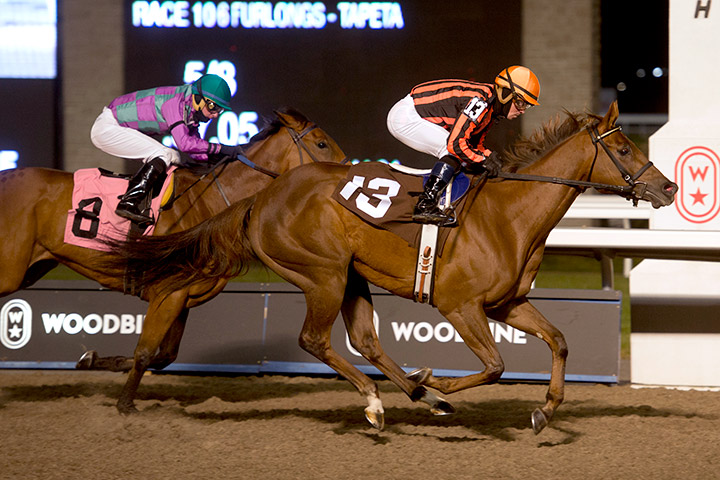 Foxxy Belle wins a Nov. 23 claiming race at Woodbine