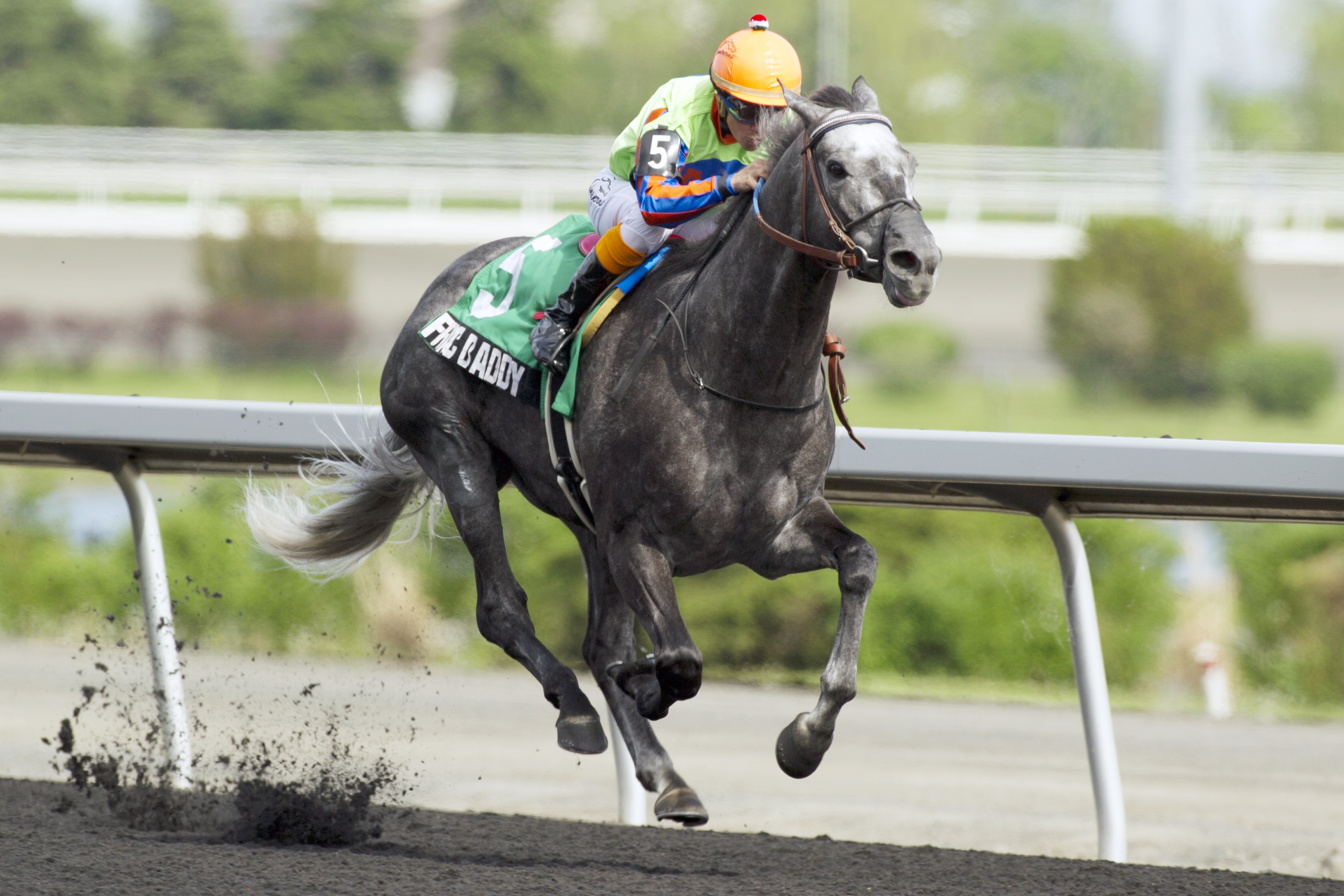 Frac Daddy wins the Eclipse Stakes