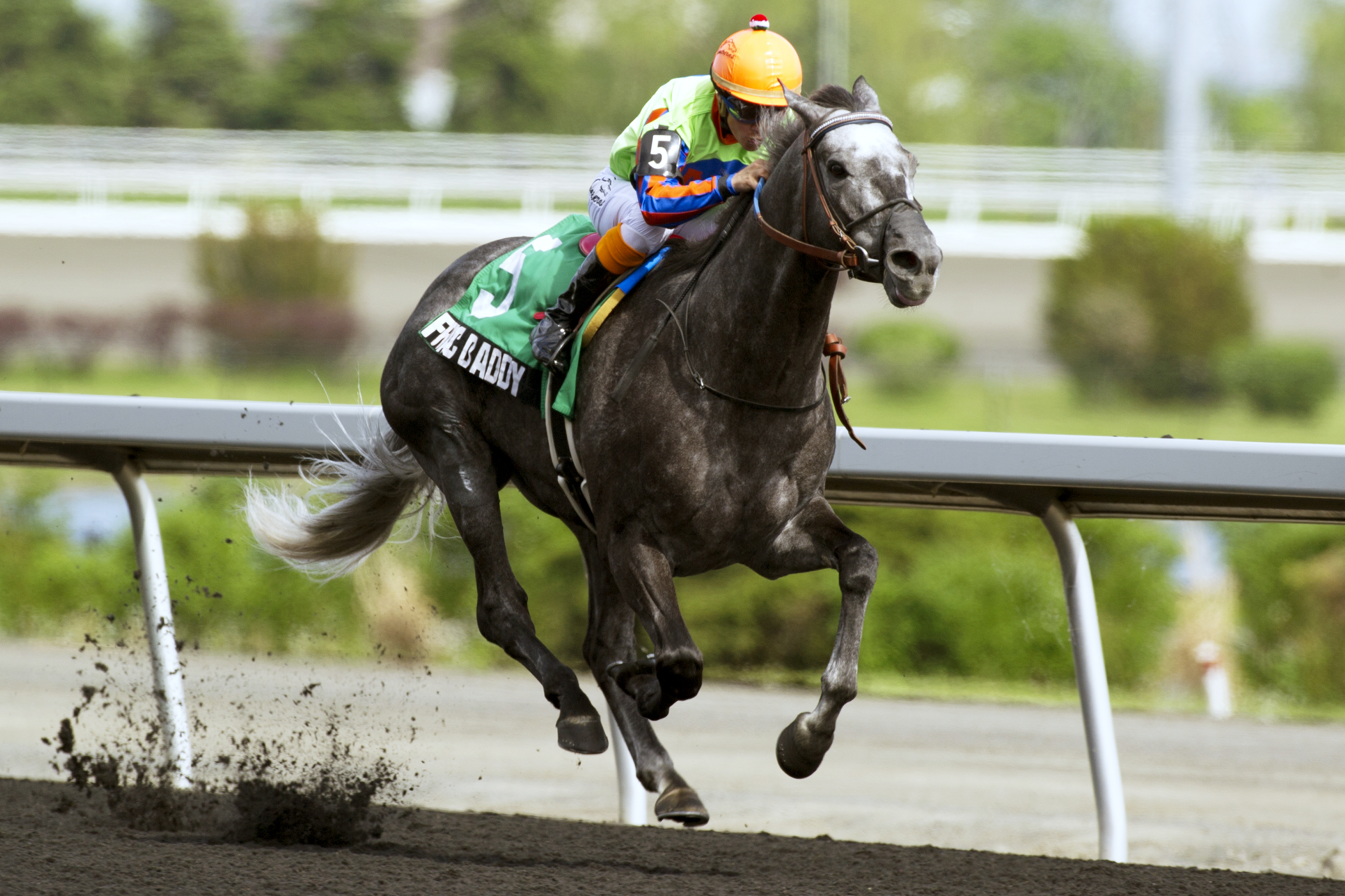 Frac Daddy wins the Eclipse Stakes