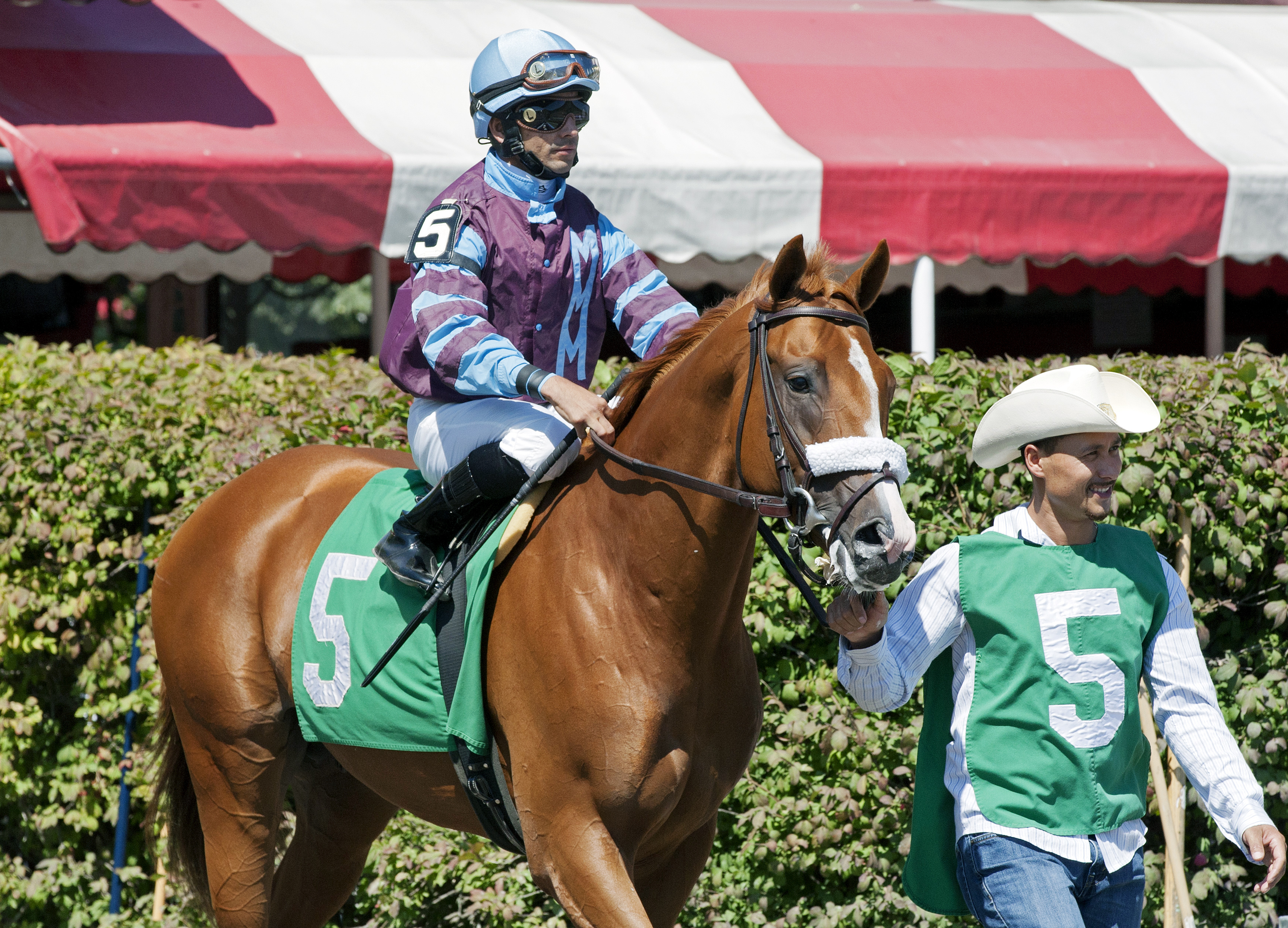 Frammento at Saratoga in August