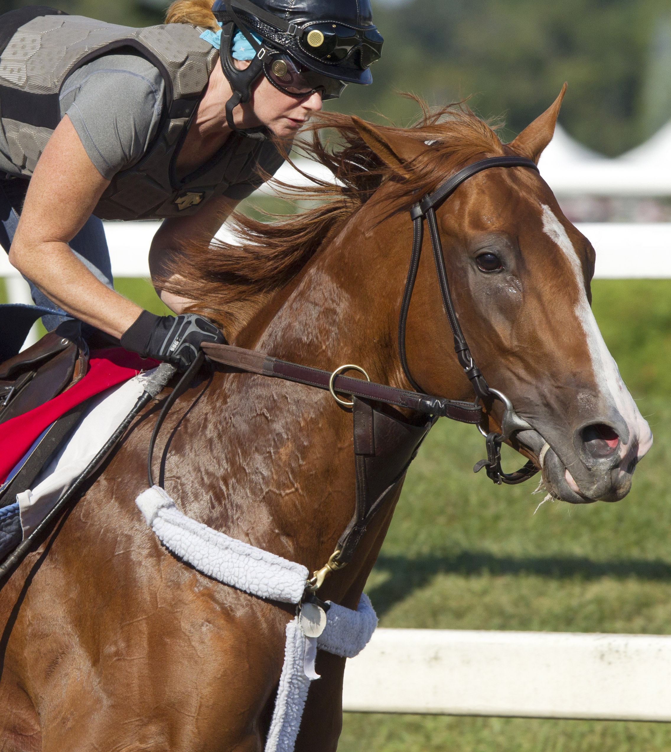 Frammento trains at Saratoga on Aug. 26