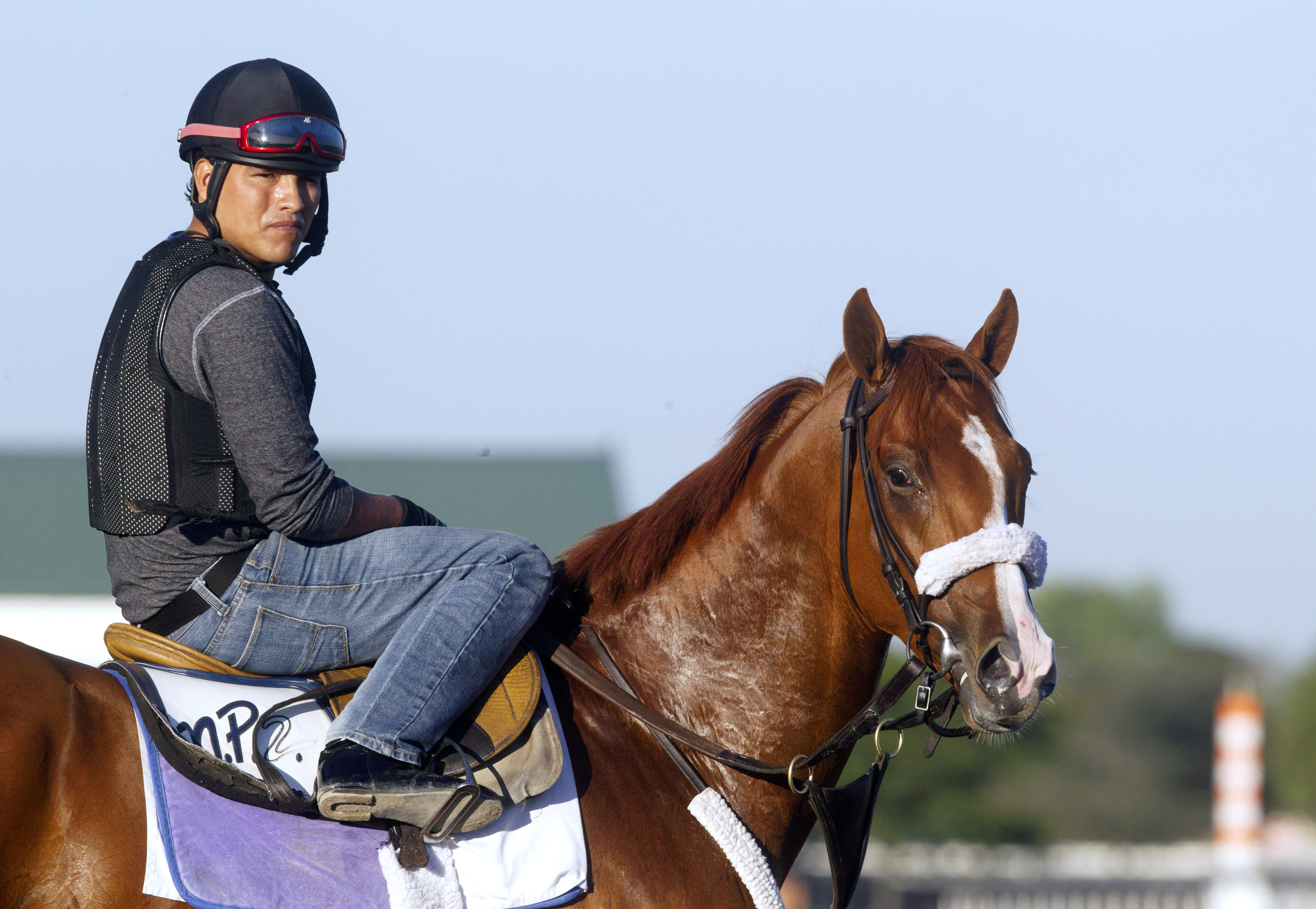 Frammento at Palm Meadows in January