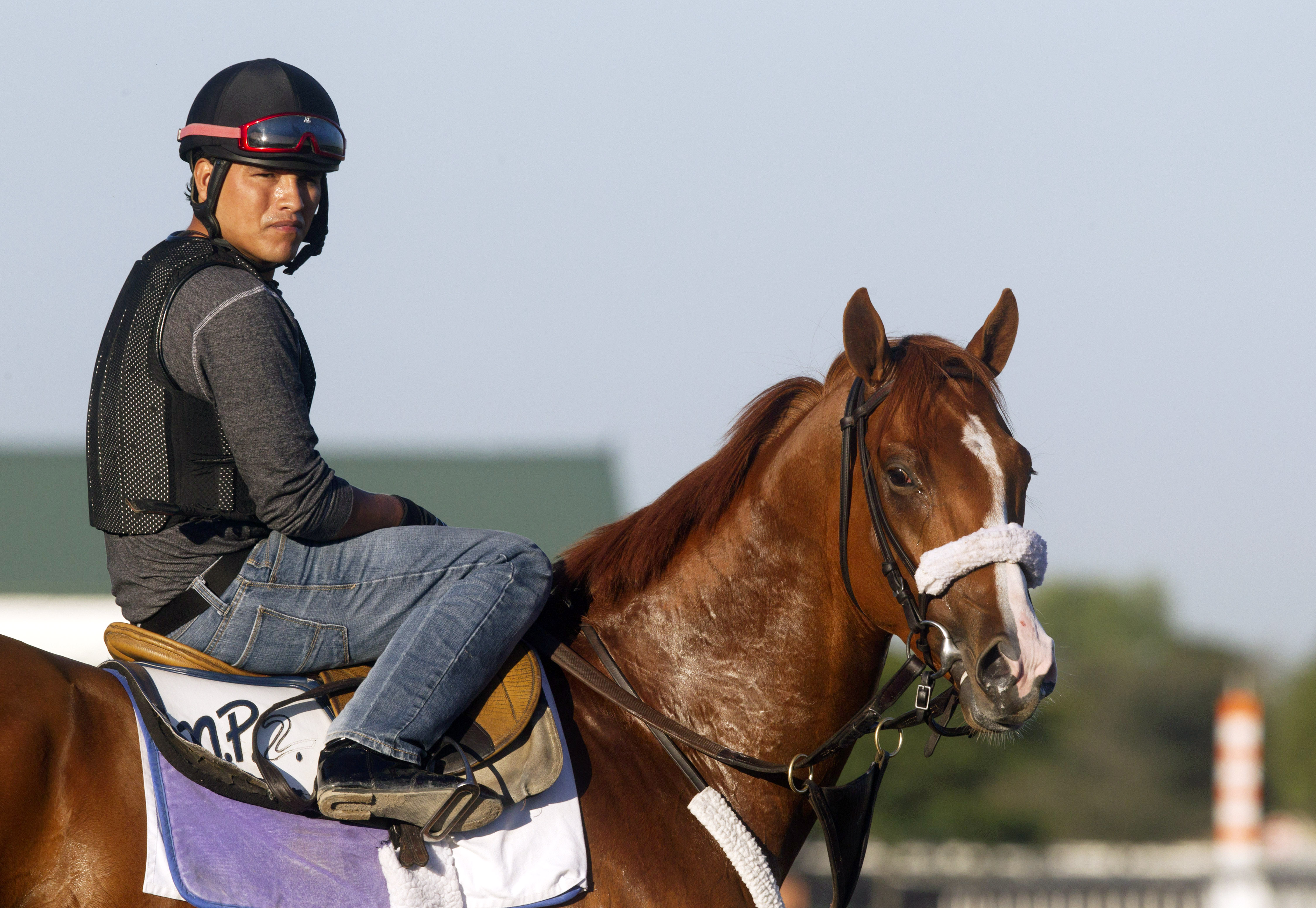Frammento at Palm Meadows in January