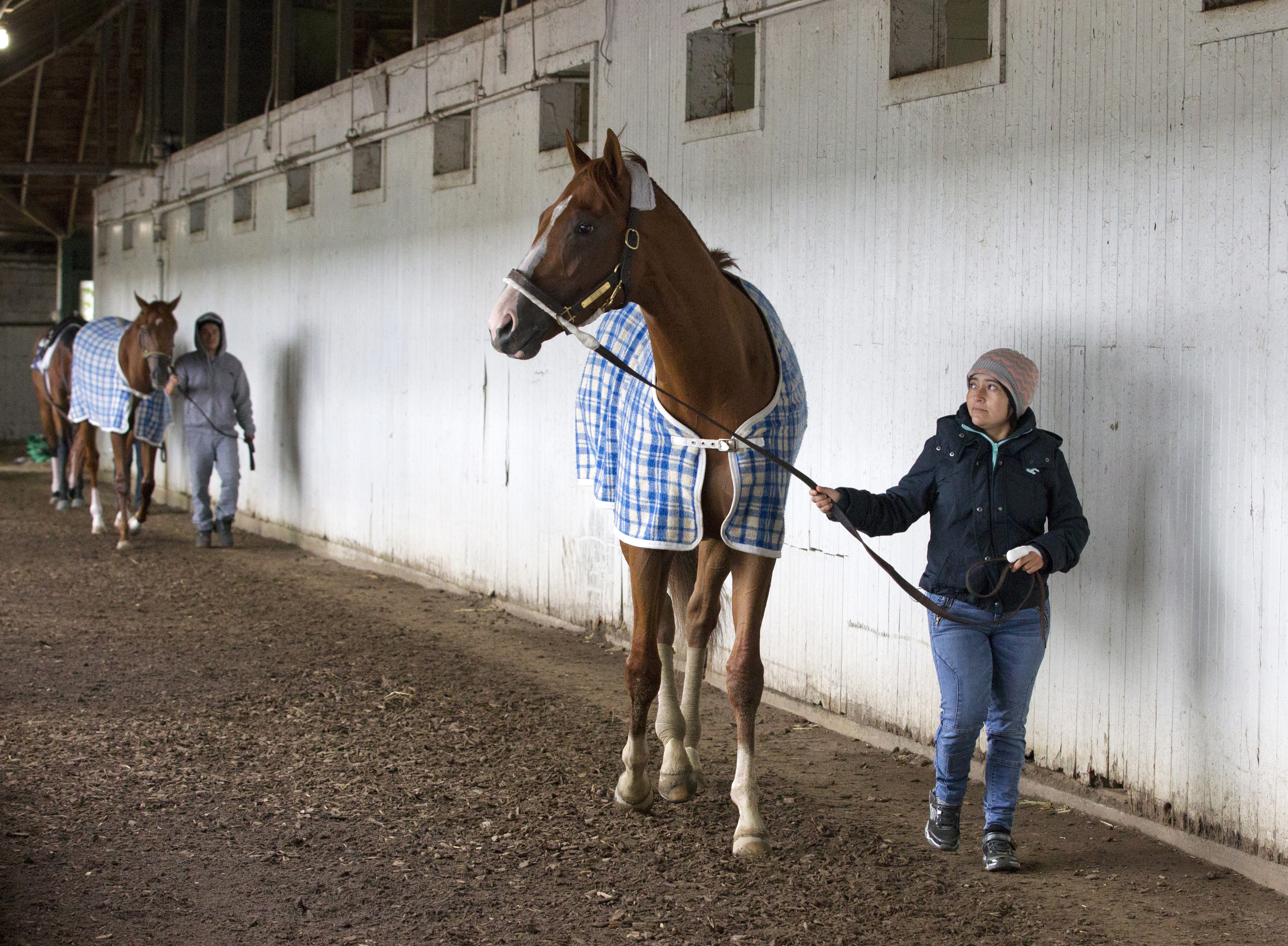 Frammento at Belmont Park on June 3