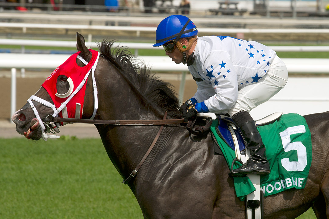 Francatelli wins the 2020 King Corrie Stakes at Woodbine