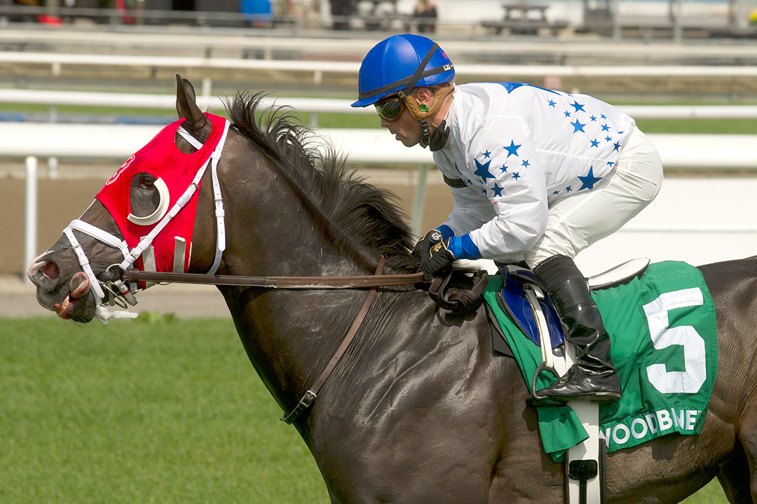 Francatelli wins the 2020 King Corrie Stakes at Woodbine