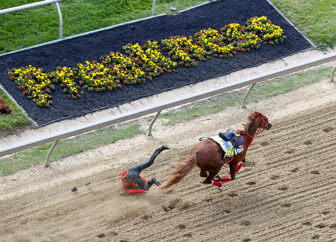 France Go de Ina dumps rider while working at Pimlico on May 12
