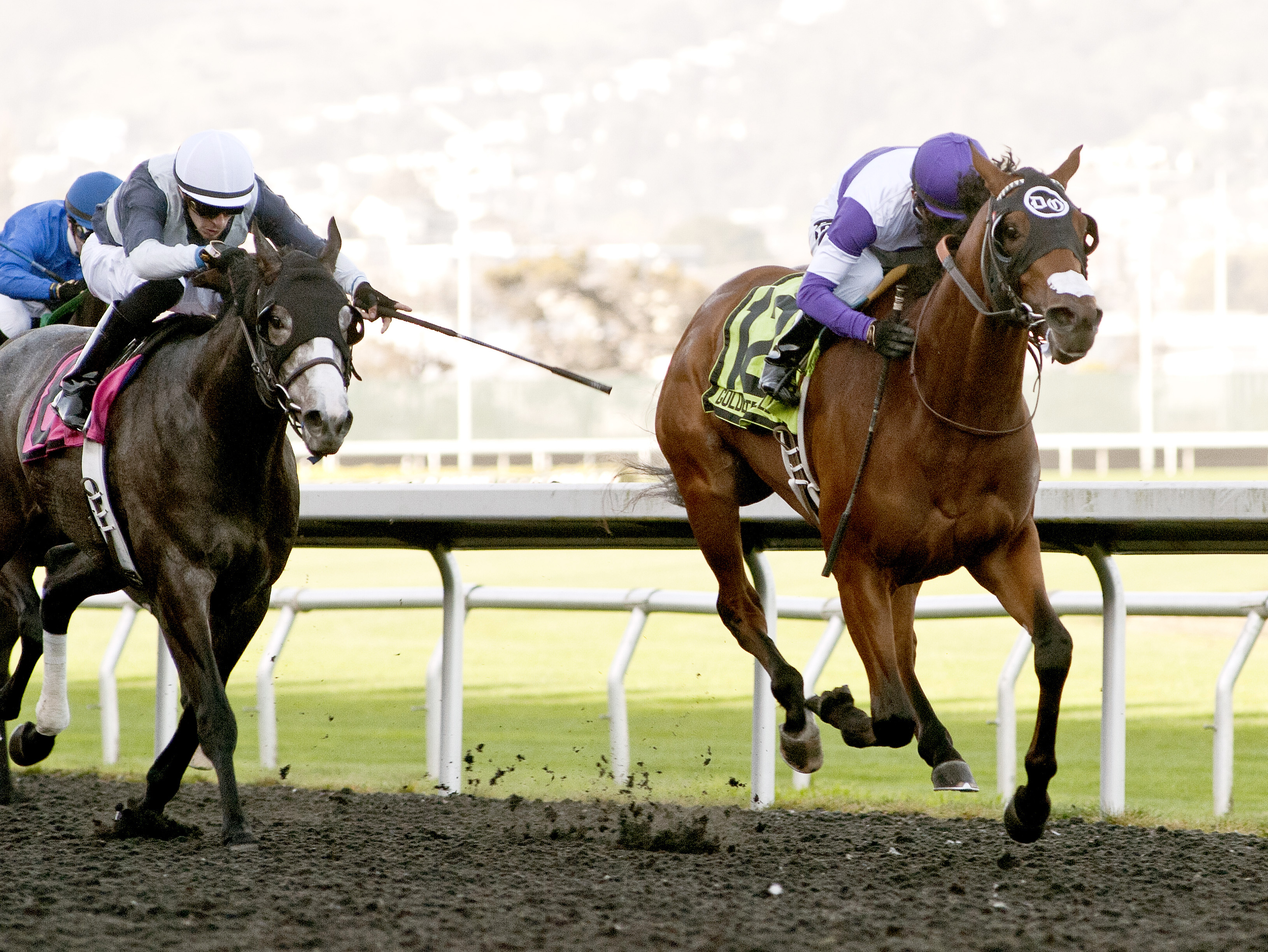 Frank Conversation wins the 2016 El Camino Real Derby