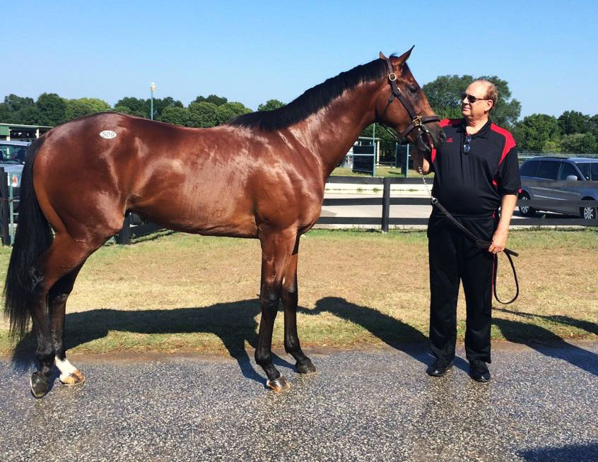 Frank Fletcher with Into Mischief colt