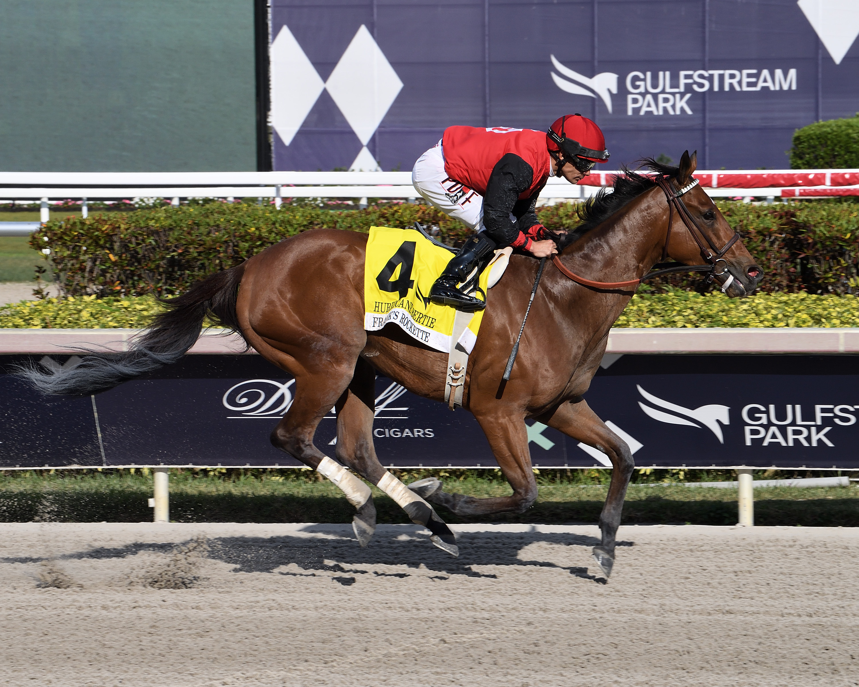 Frank's Rockette/Hurricane Bertie