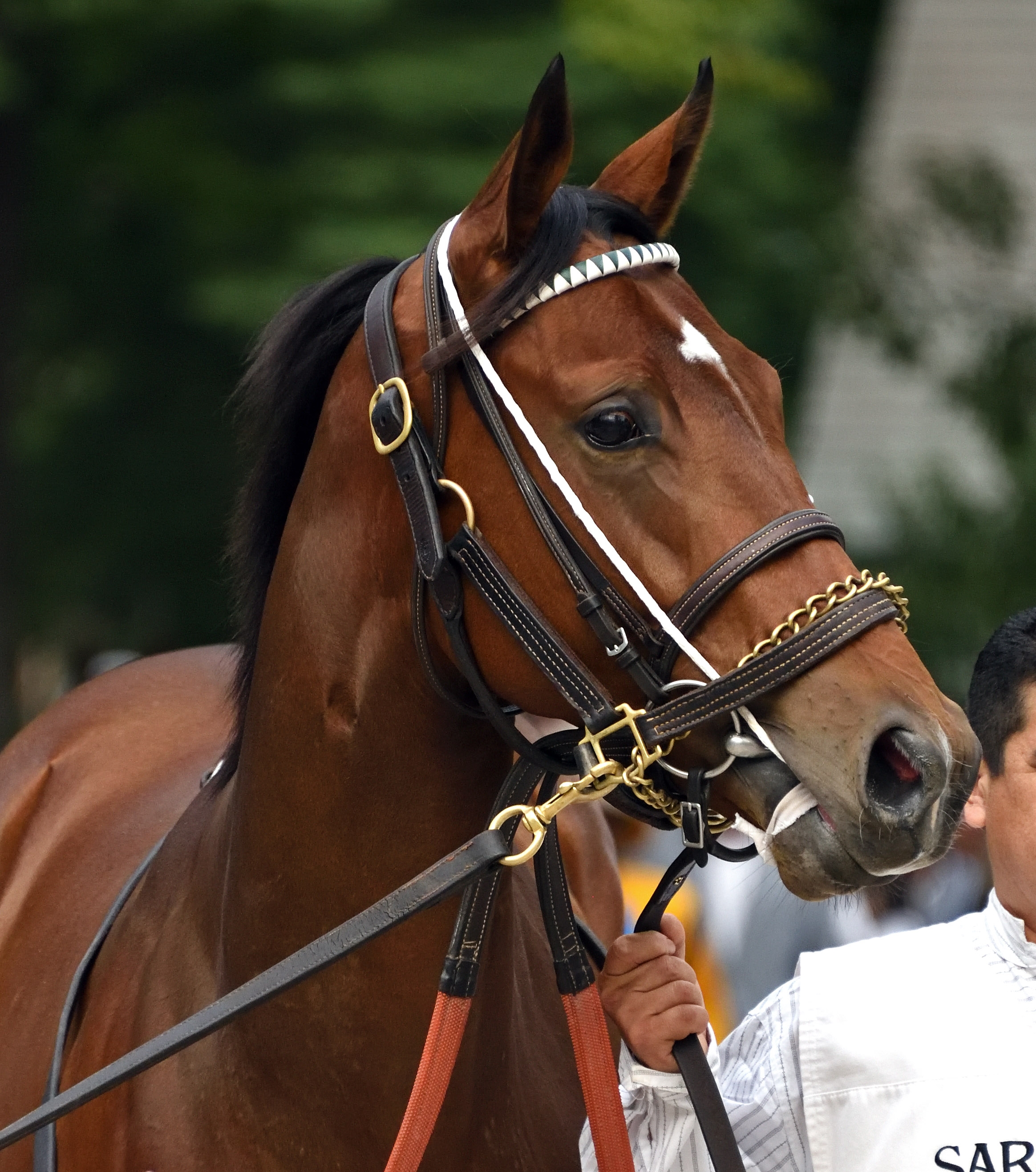Frank-s Rockette in Saratoga on 9.1.19