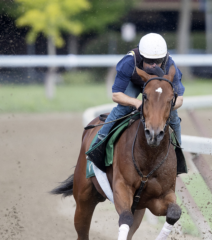 Frank-s Rockette trains at Saratoga Race Course on Aug. 25