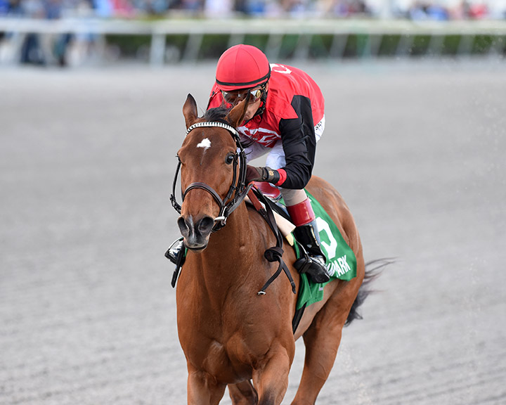 Frank's Rockette wins the 2020 Any Limit Stakes at Gulfstream Park