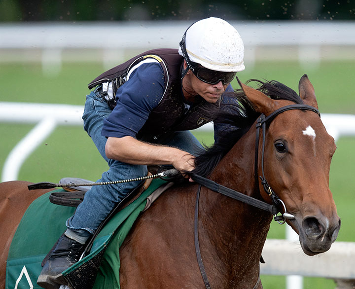 Frank's Rockette trains at Saratoga Race Course on Aug. 25