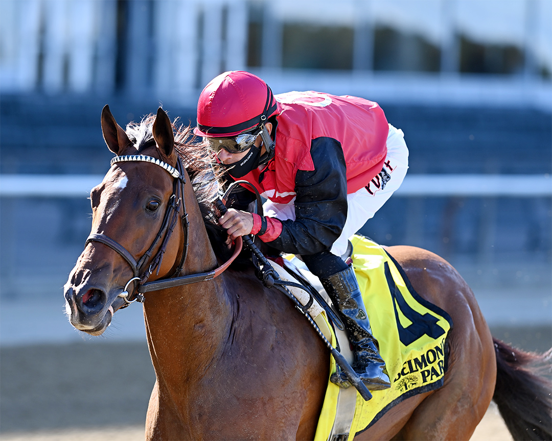 Frank's Rockette wins the 2020 Gallant Bloom Stakes at Belmont Park