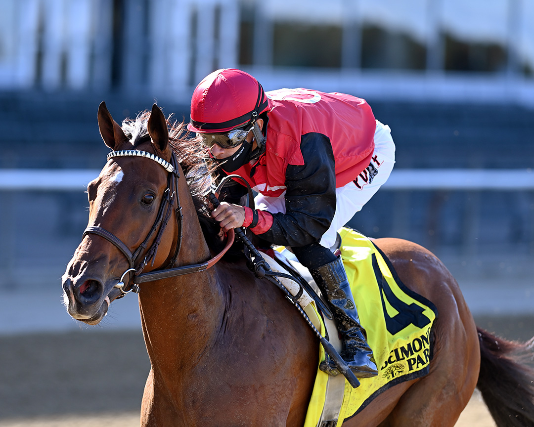 Frank's Rockette wins the 2020 Gallant Bloom Stakes at Belmont Park