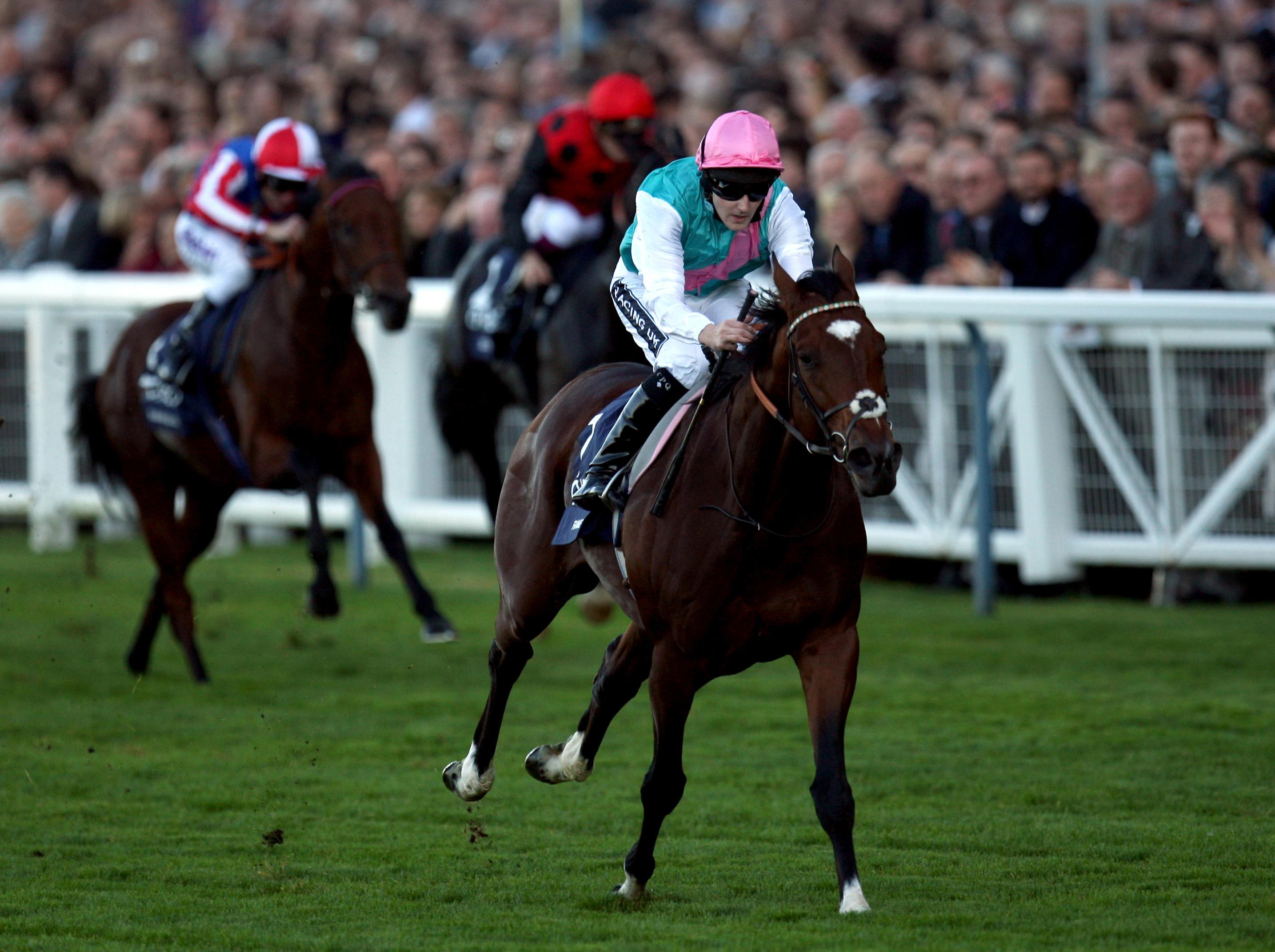 England: Frankel on track to run in Lockinge at Newbury