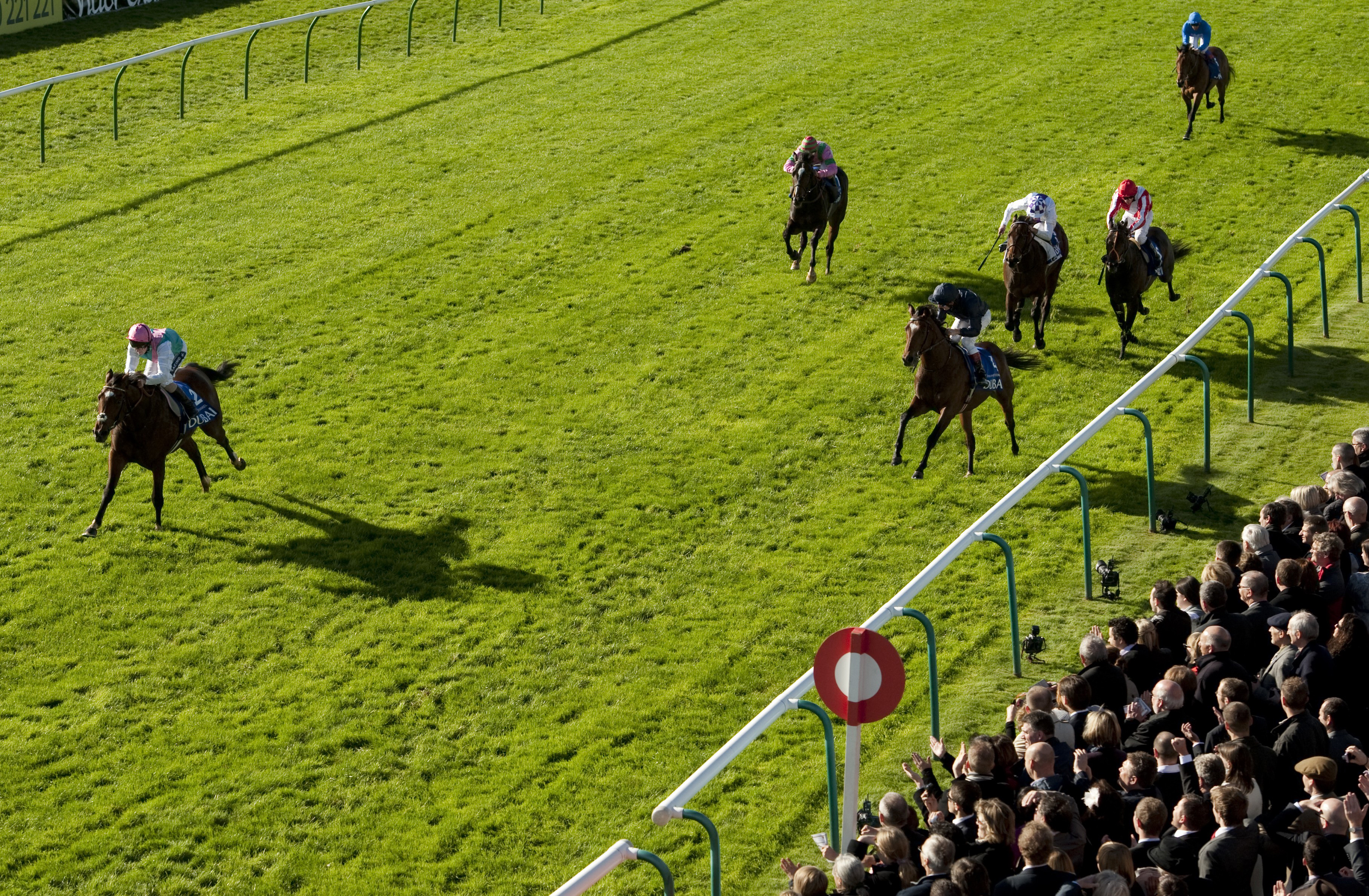 Frankel/Dewhurst