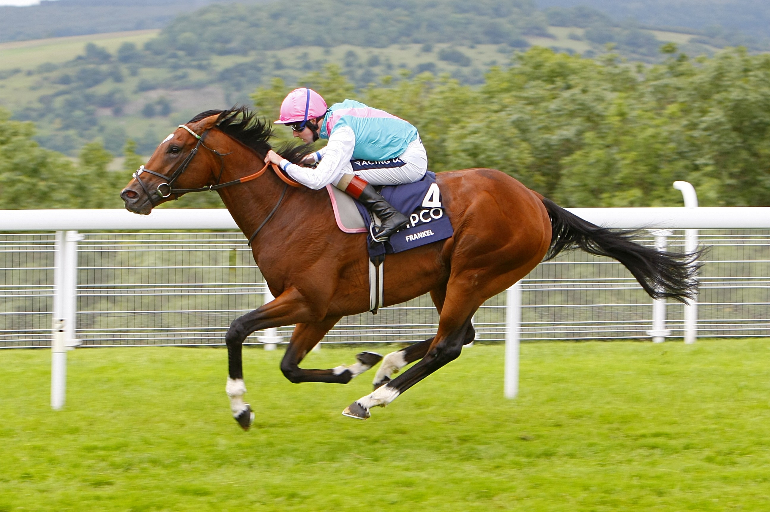 Frankel
