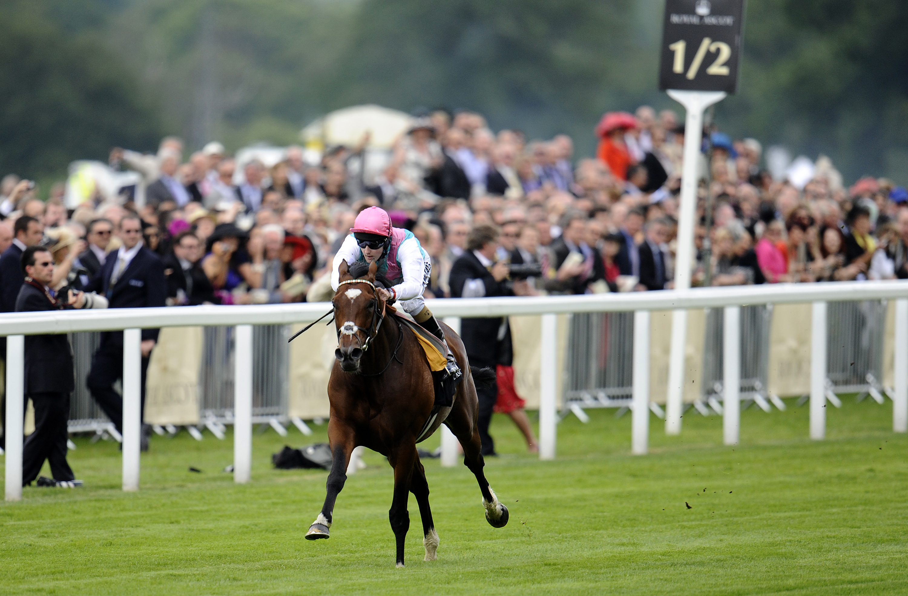 Frankel