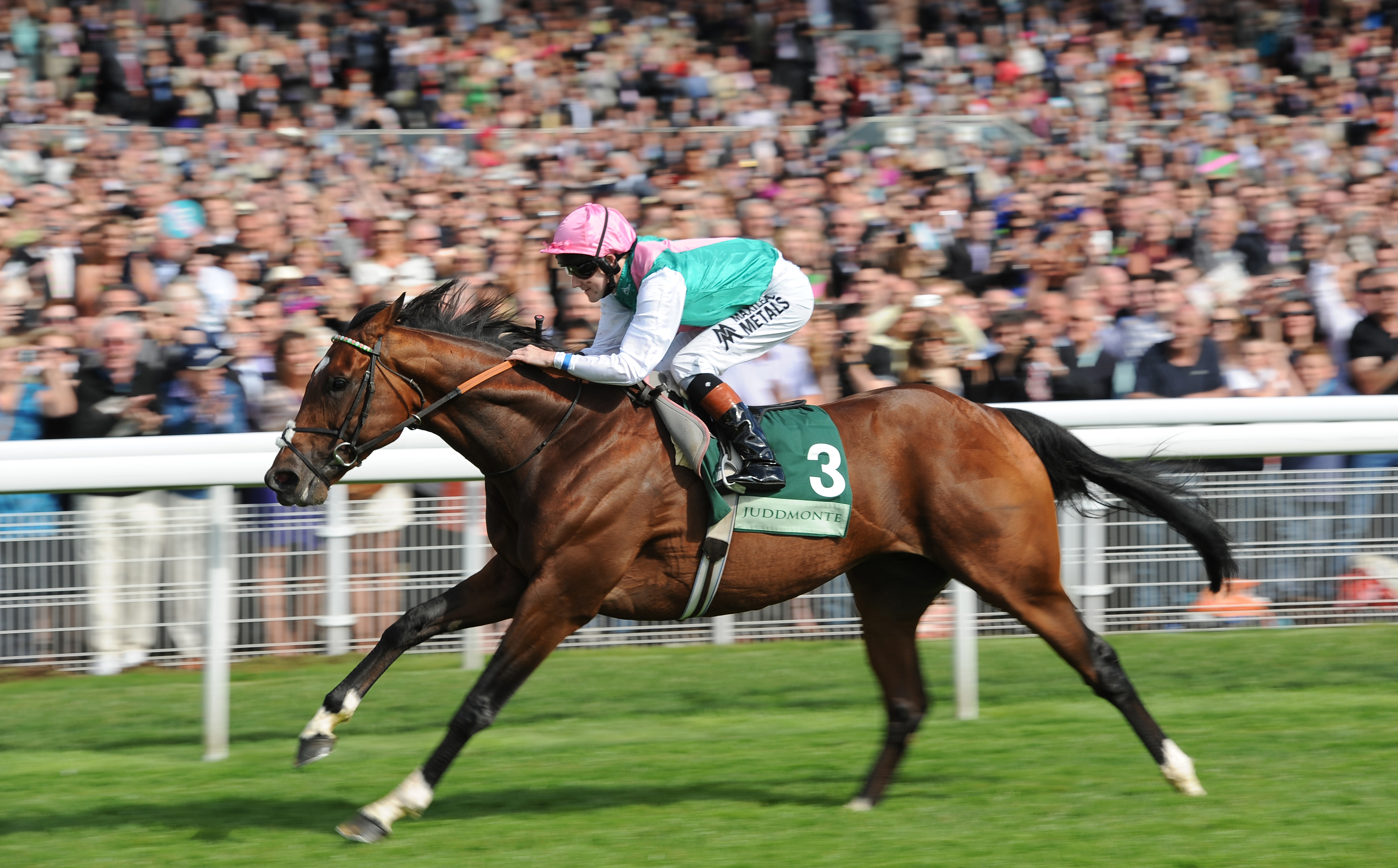 Frankel/Juddmonte International