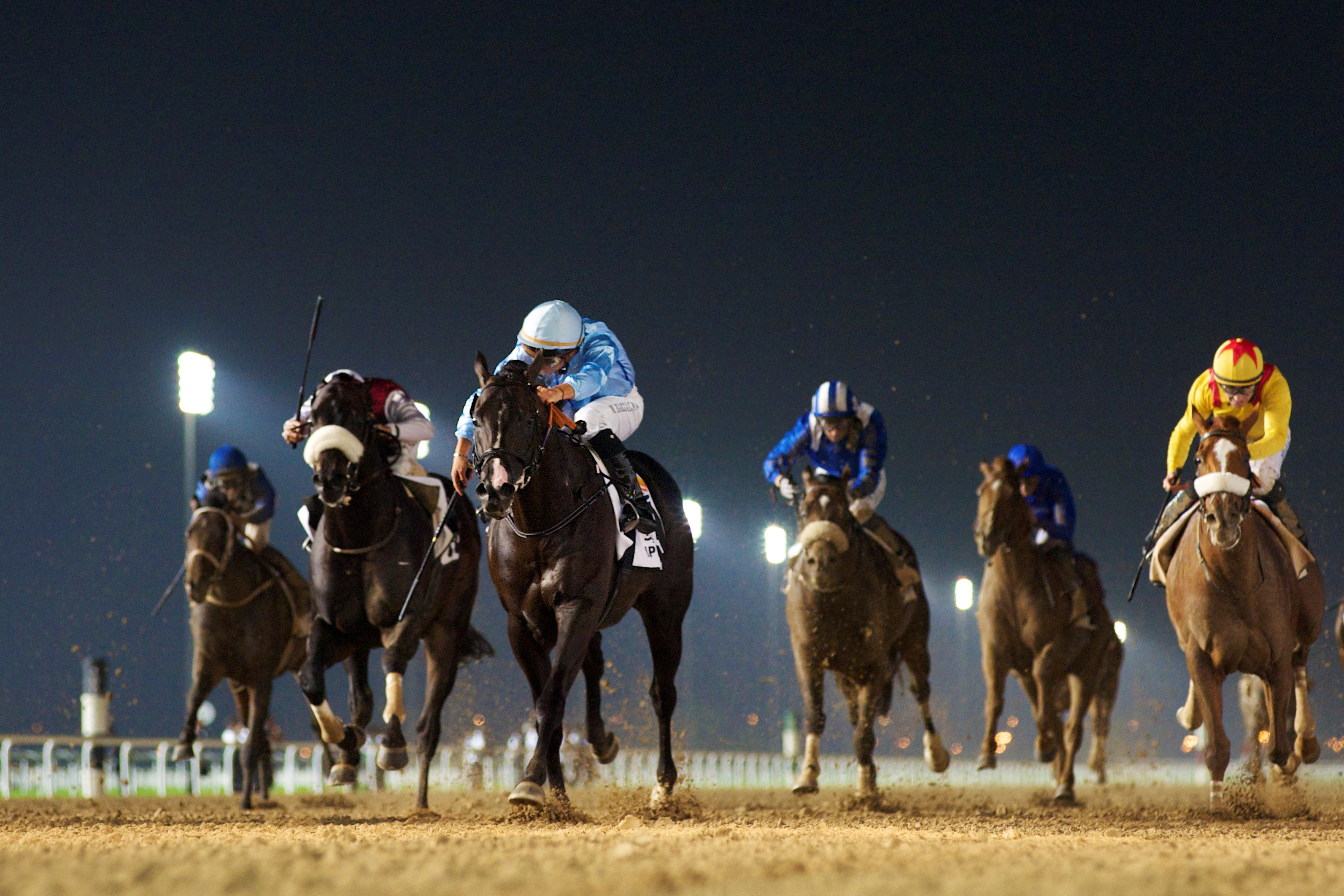 Frankyfourfingers wins the Al Maktoum Challenge