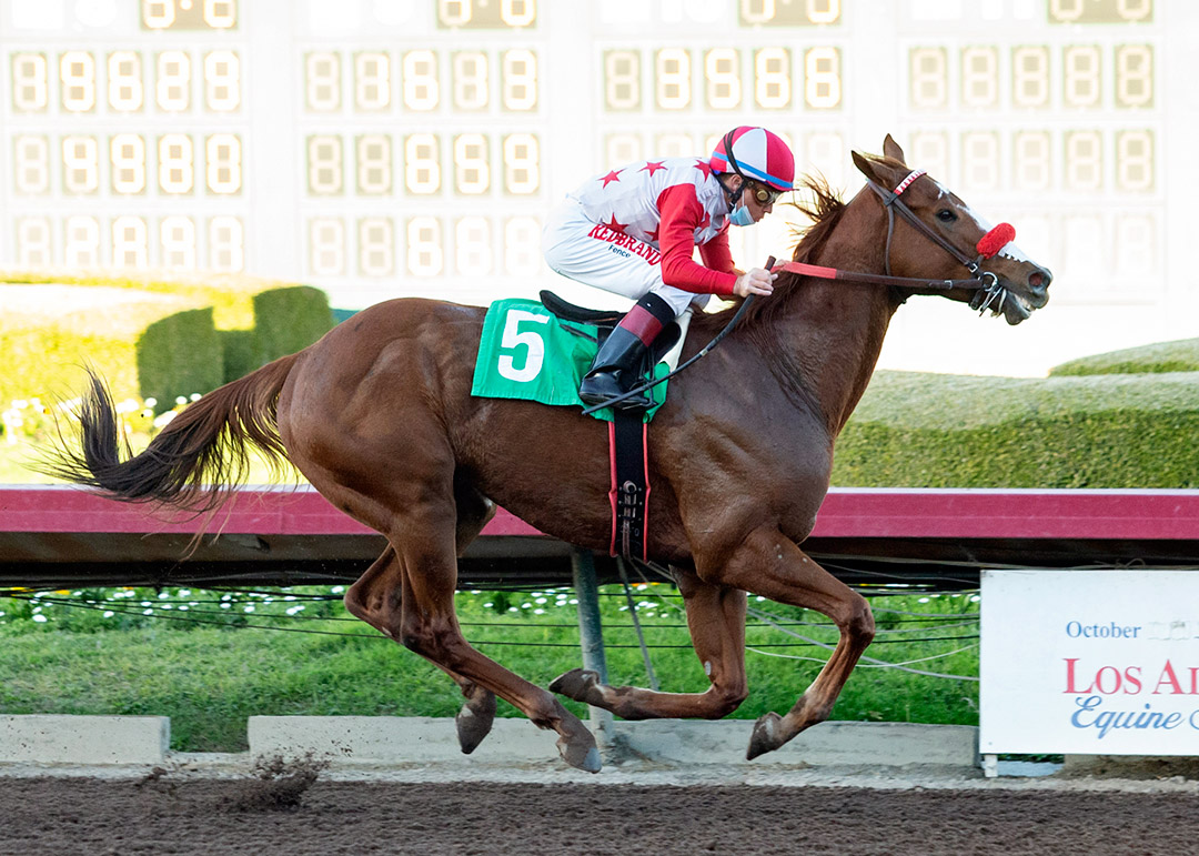 Fratelli wins a Dec. 4 allowance at Los Alamitos Race Course