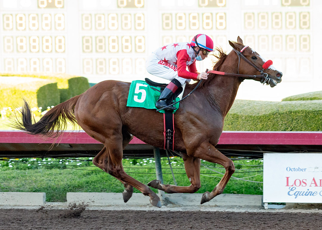 Fratelli wins a Dec. 4 allowance at Los Alamitos Race Course