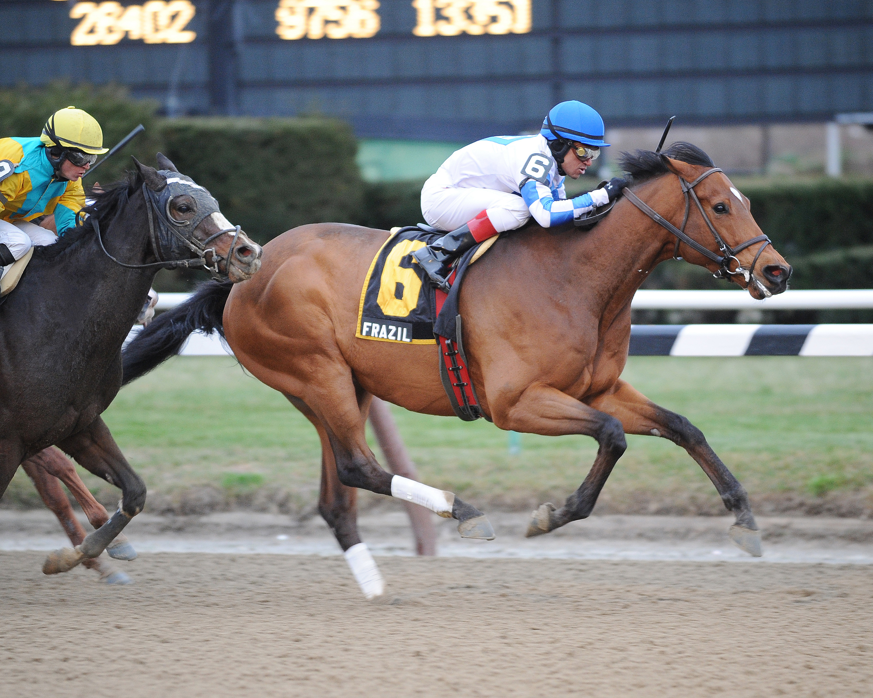 Frazil wins the 2011 Gravesend Handicap