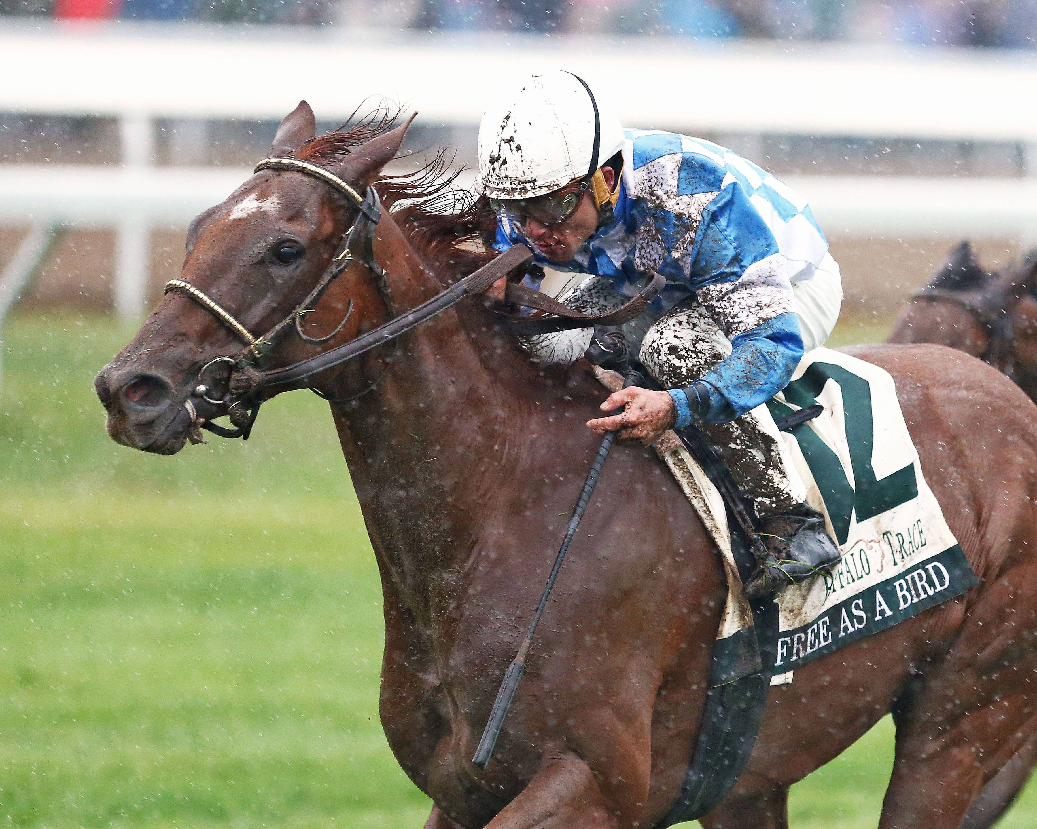 Free As a Bird wins the Buffalo Trace Franklin County Stakes