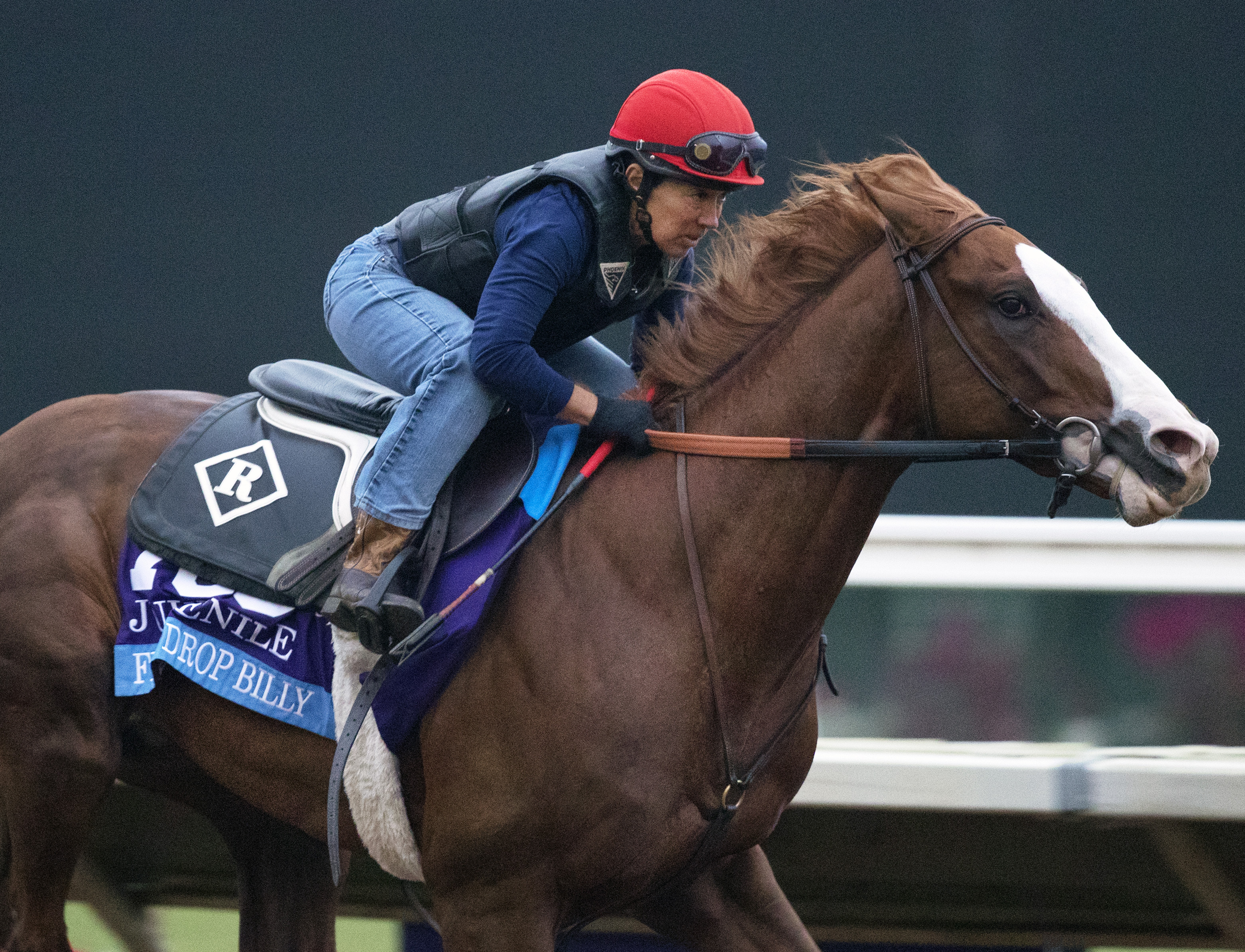 Free Drop Billy works at Del Mar 10.28.17