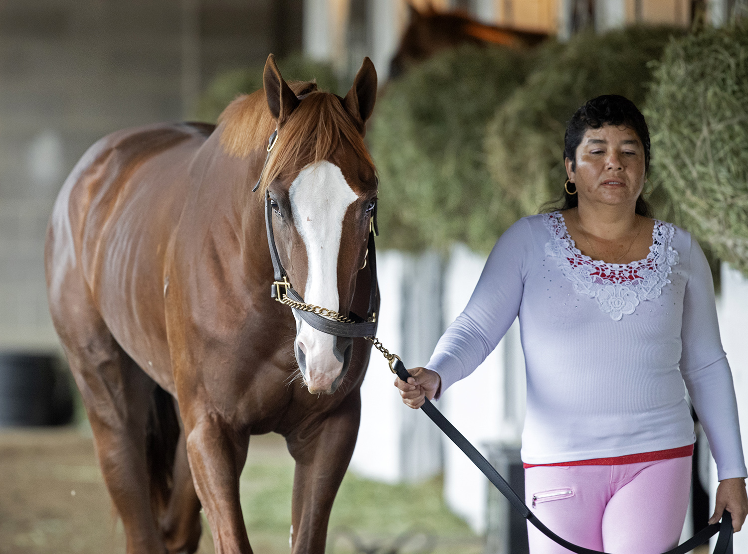 Free Drop Billy at Churchill Downs on April 23