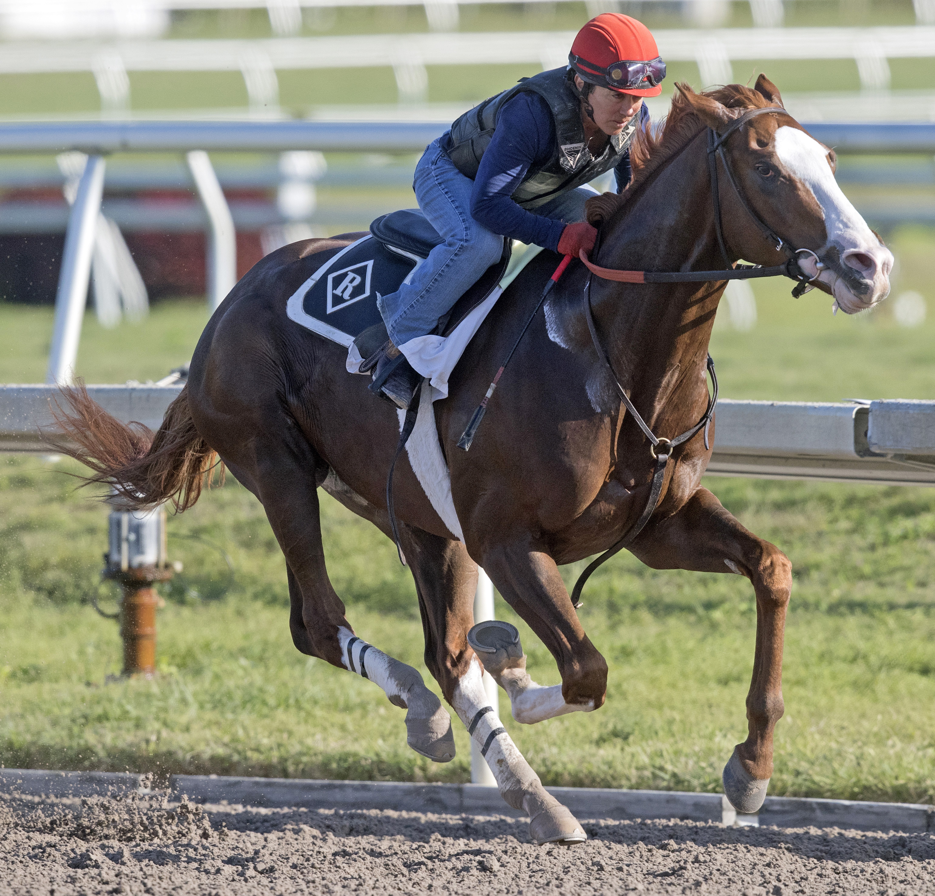 Free Drop Billy trains at Gulfstream in January 2018