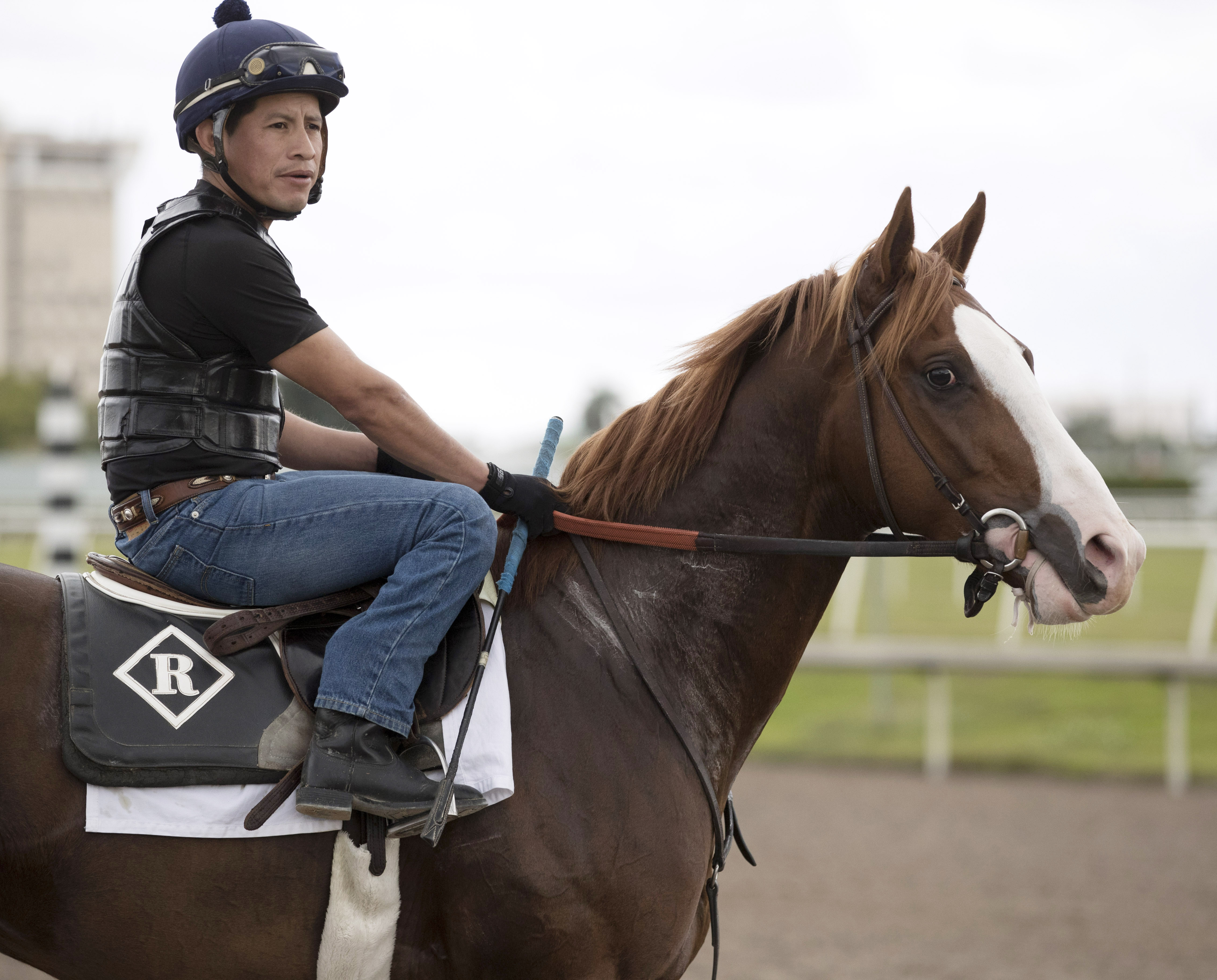 Free Drop Billy at Gulfstream in January 2018