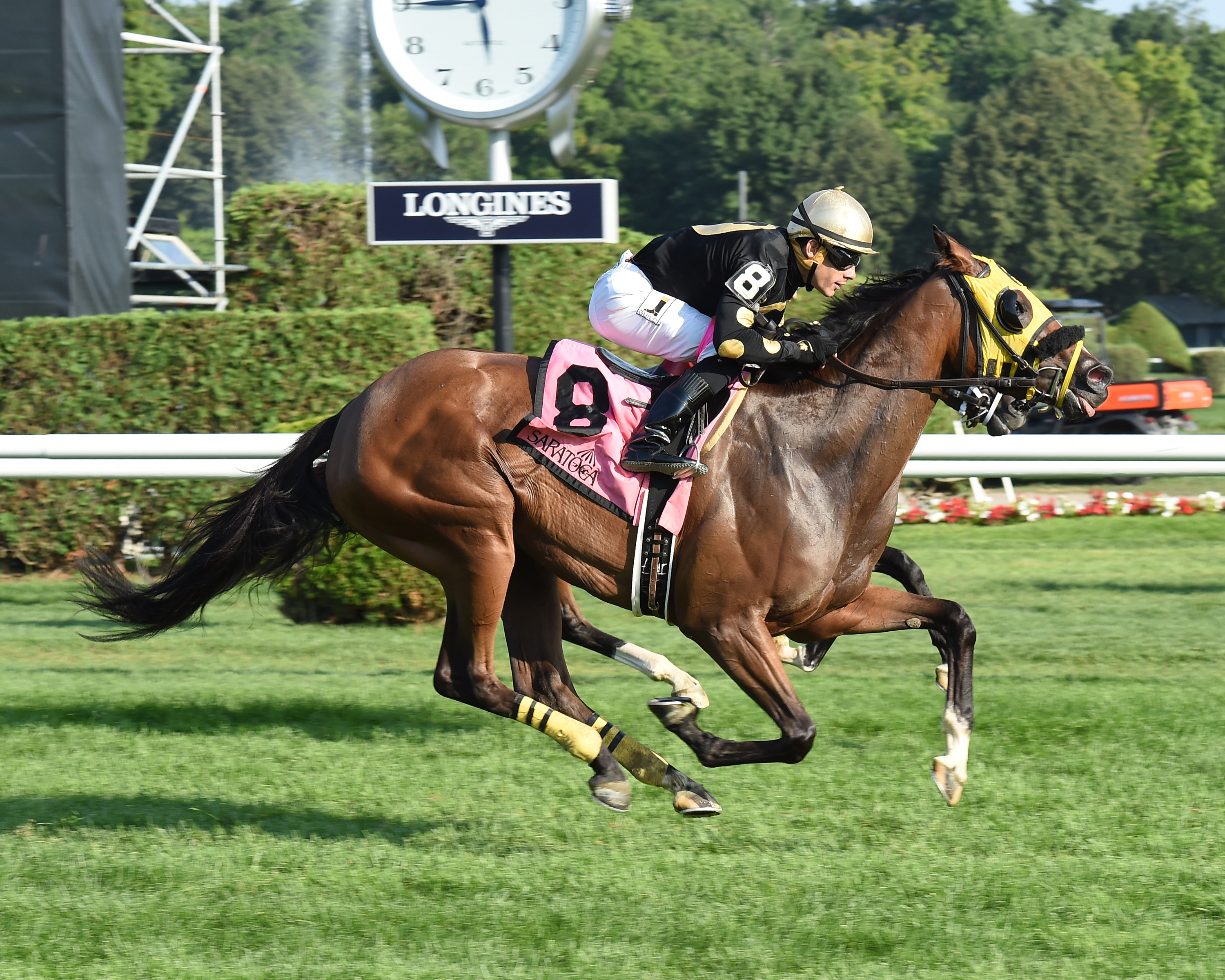 Free N Clear wins the Statue of Liberty
