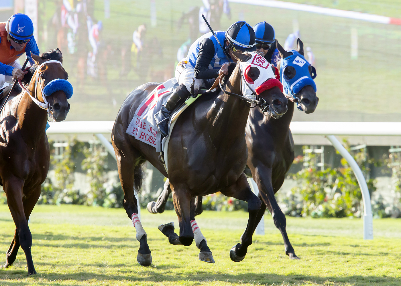 Free Rose wins the Del Mar Derby