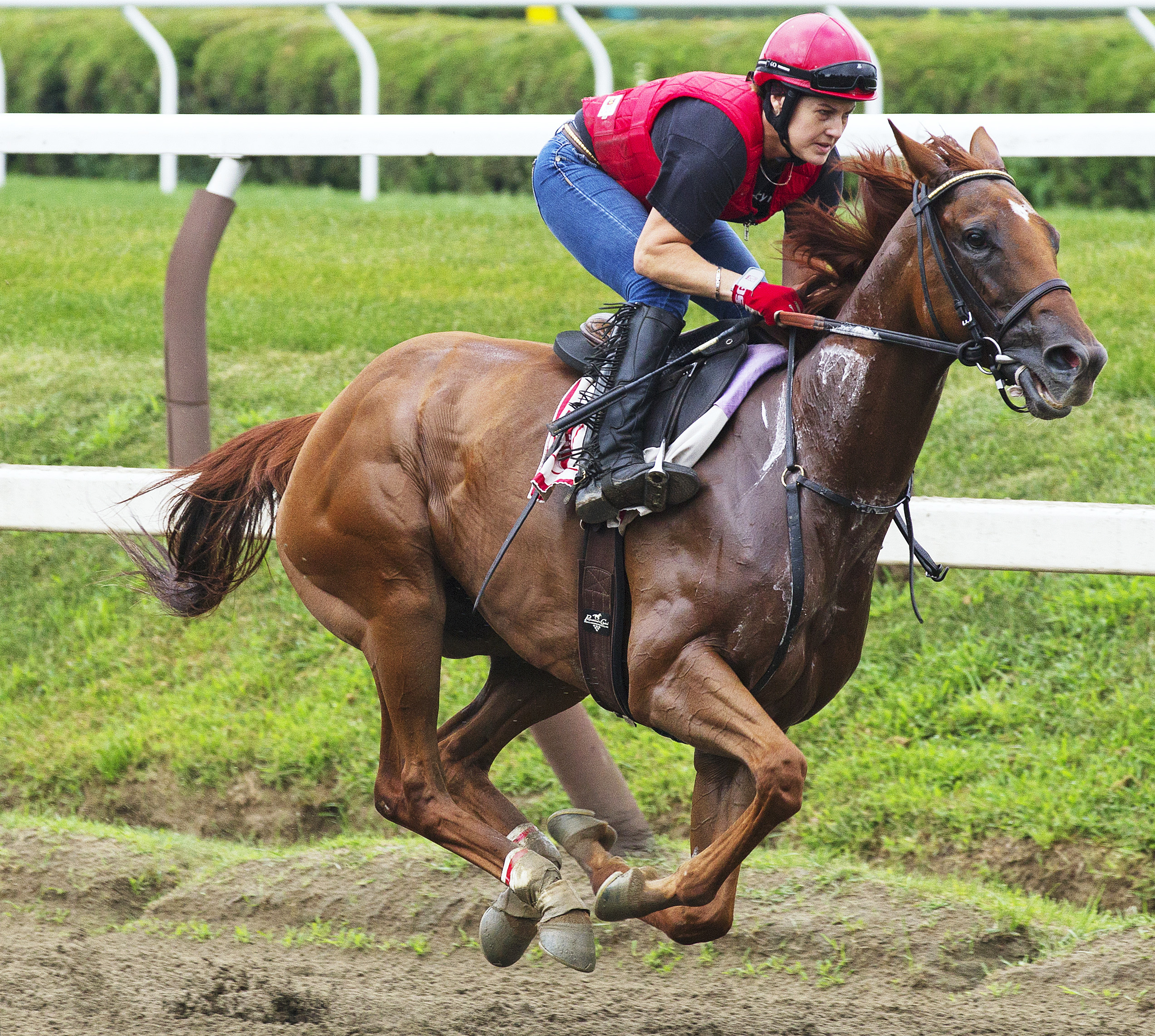 Free as a Bird trains on July 27