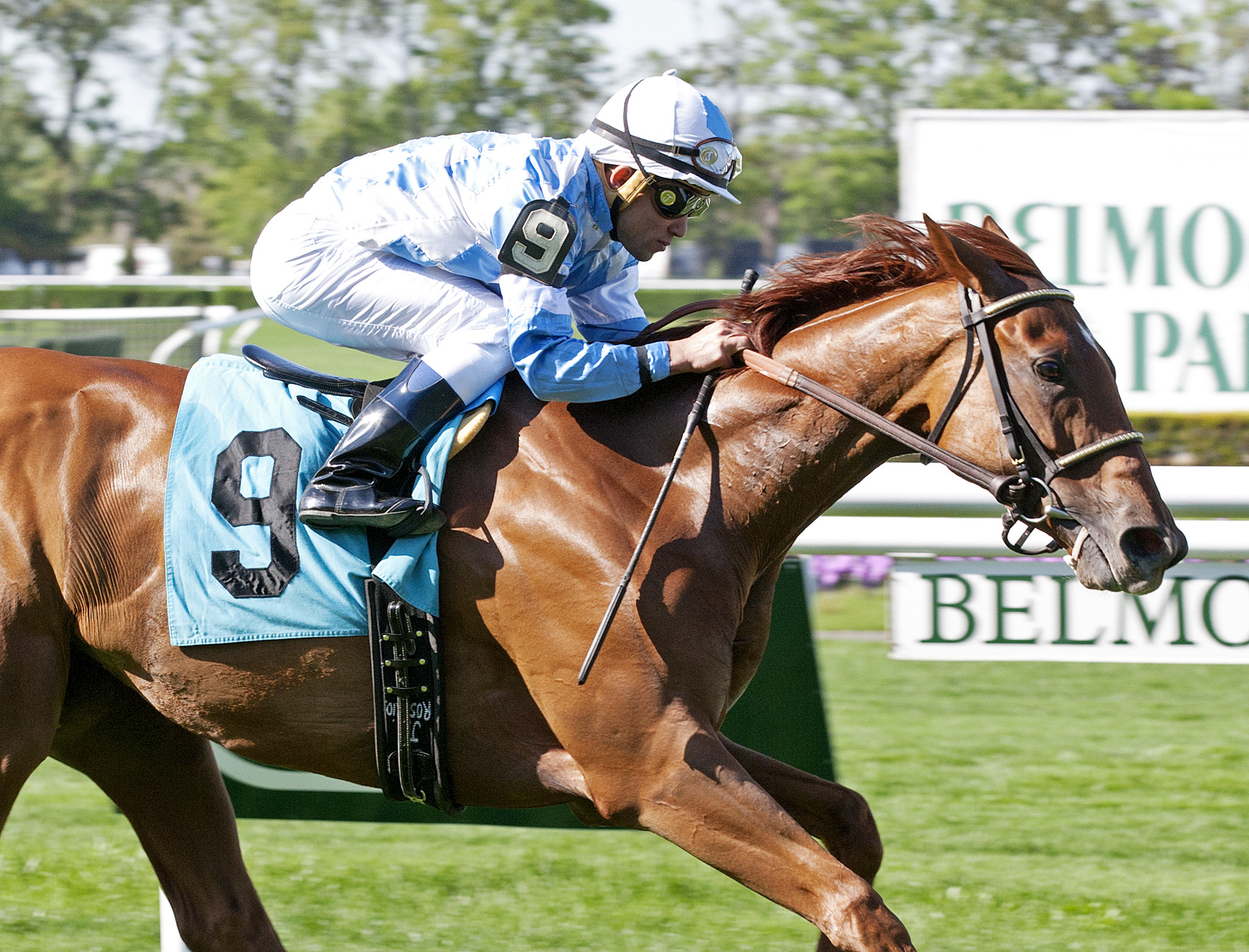 Free As a Bird wins the License Fee
